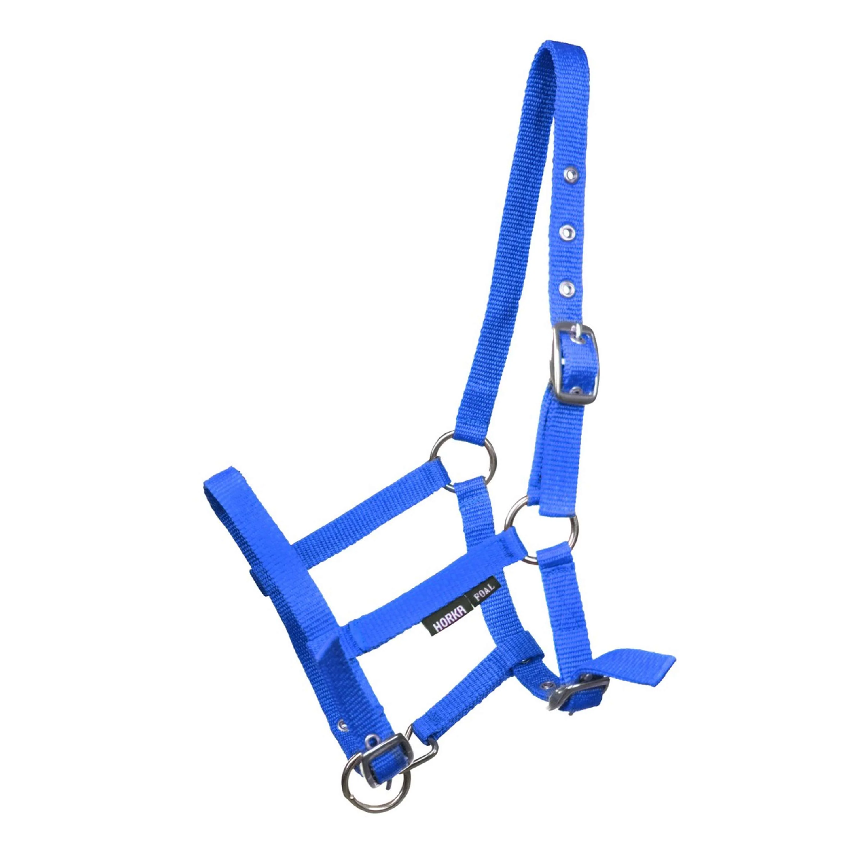 HORKA Licol Poulain Cobalt