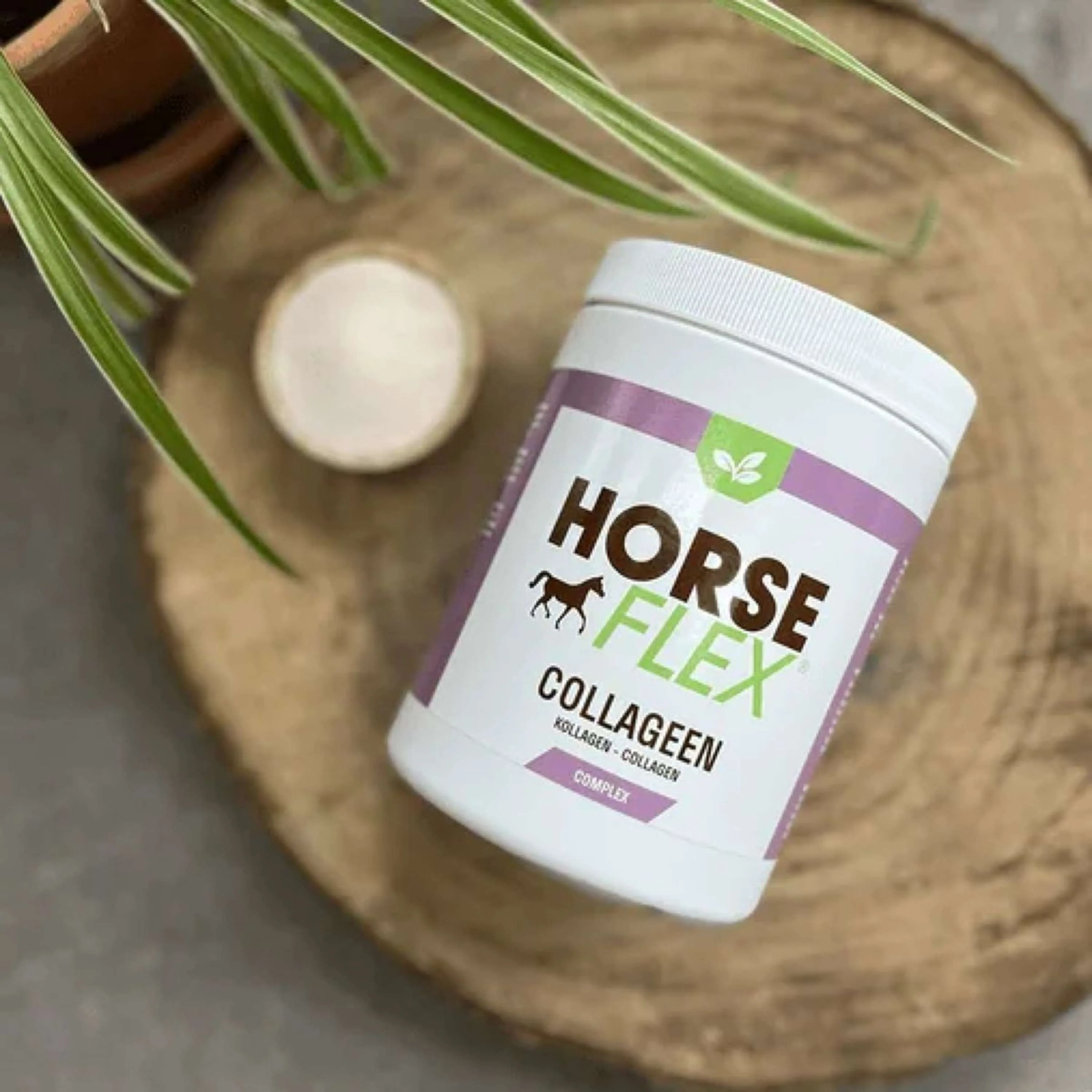 HorseFlex Collageen Complex - Image 3