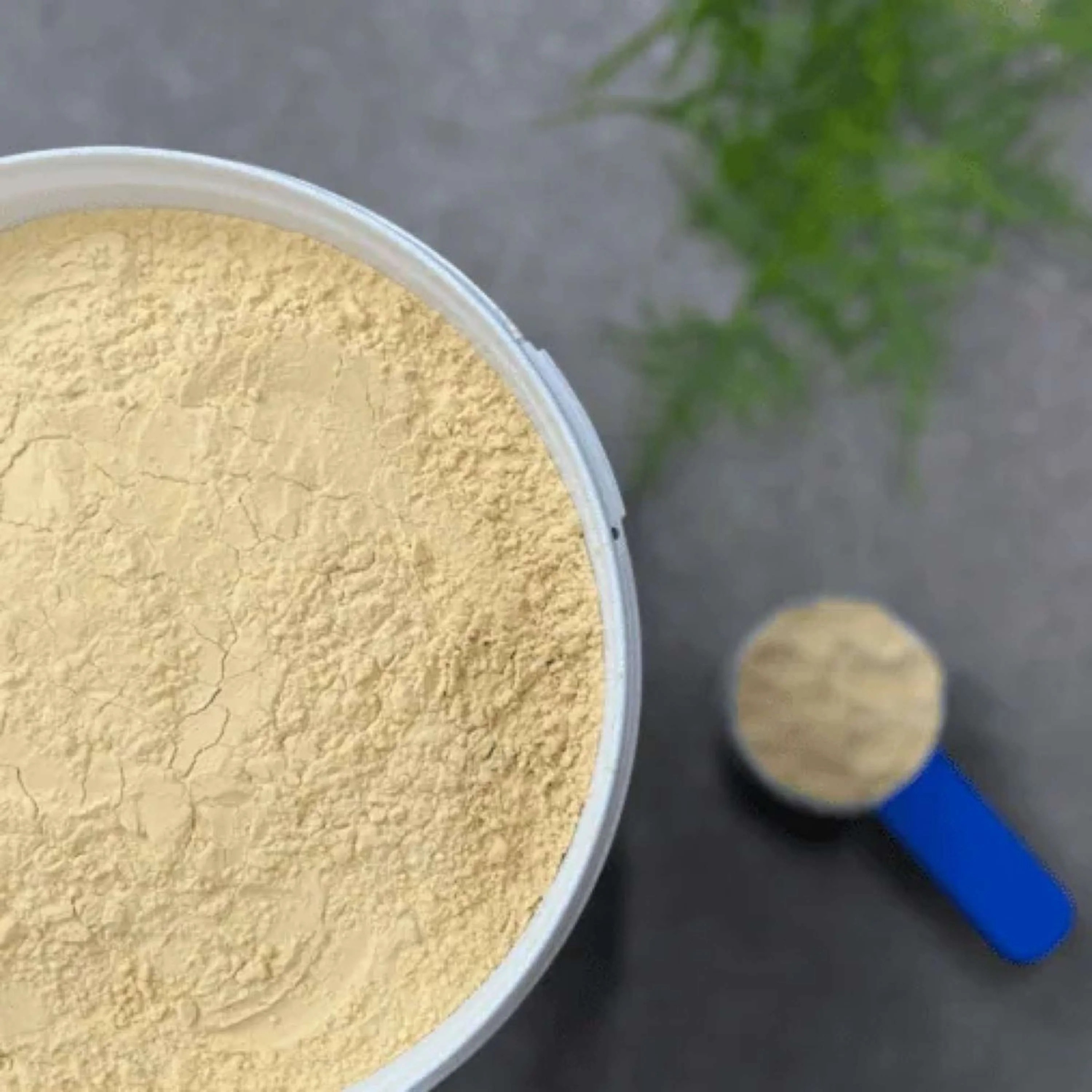 HorseFlex Protein Power - Image 3