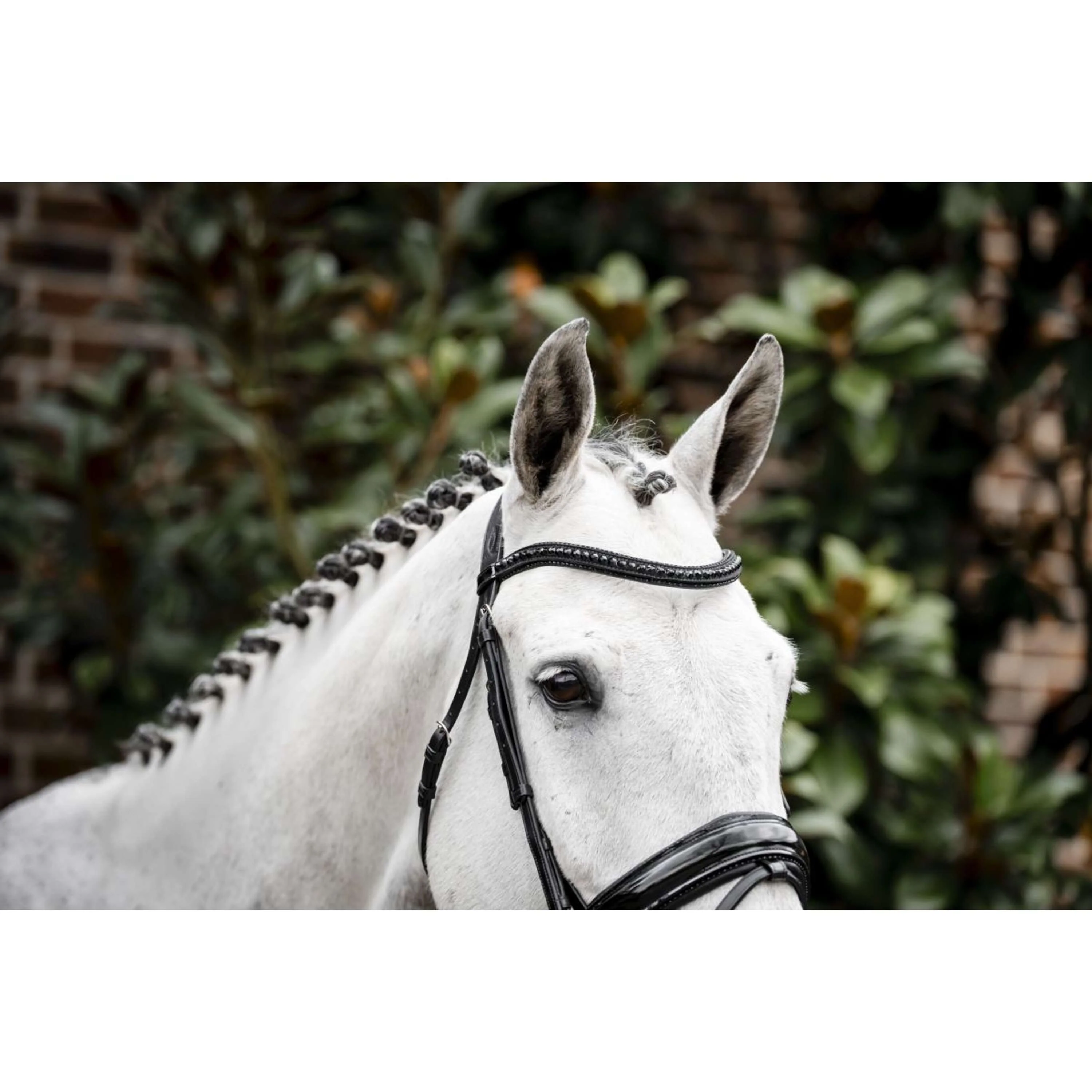 Horseware Bride Diamante Noir - Image 2