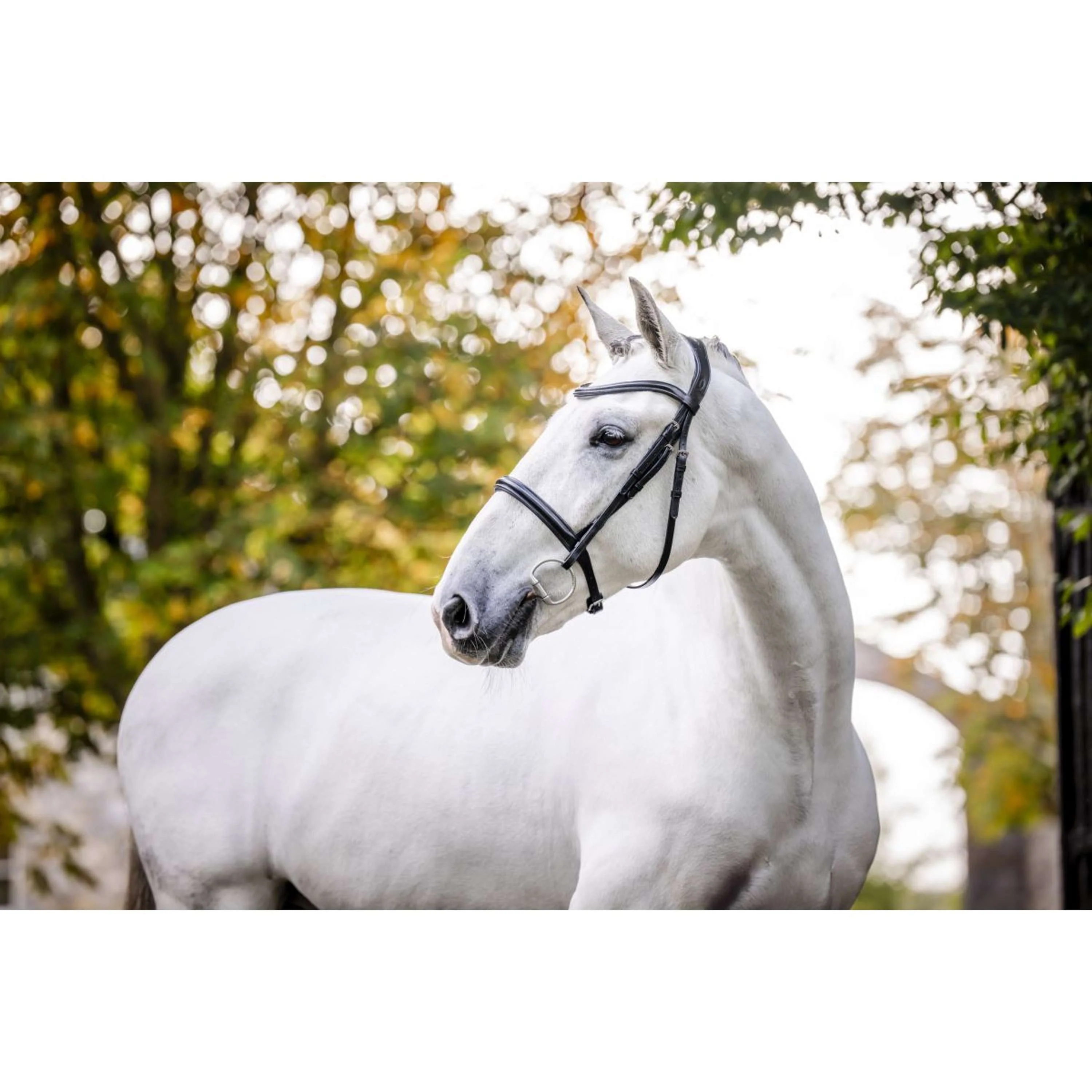 Horseware Bride Pony Cavesson Noir - Image 3