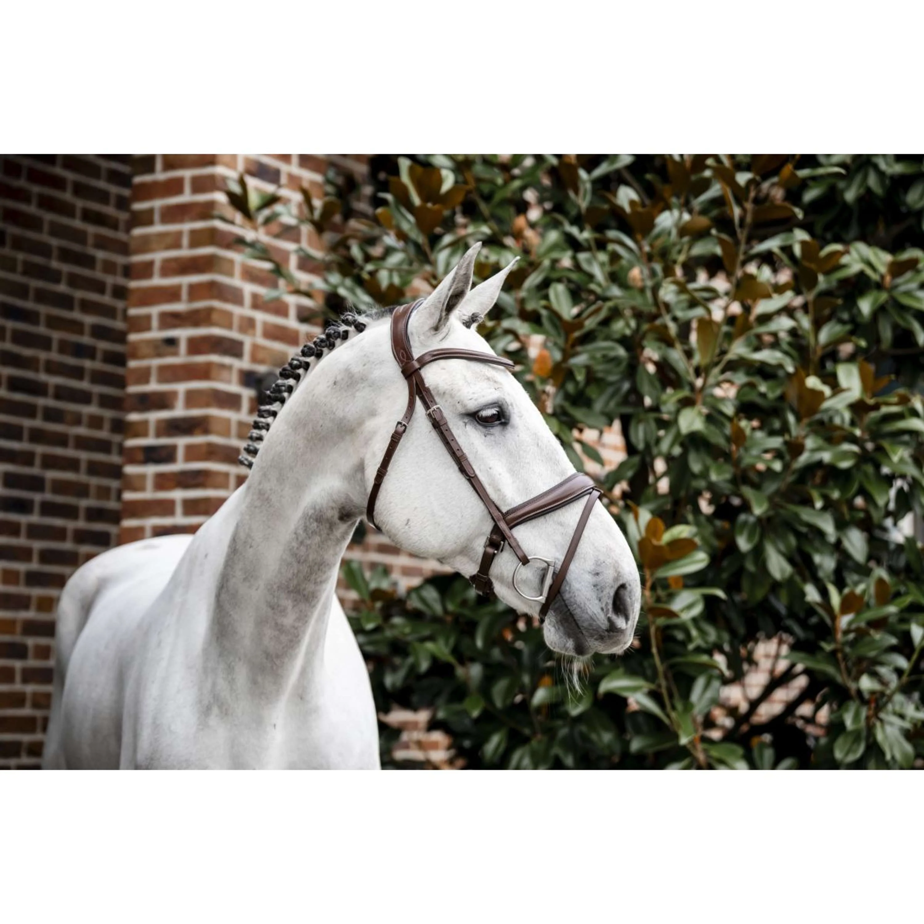 Horseware Bride Pony Flash Marron
