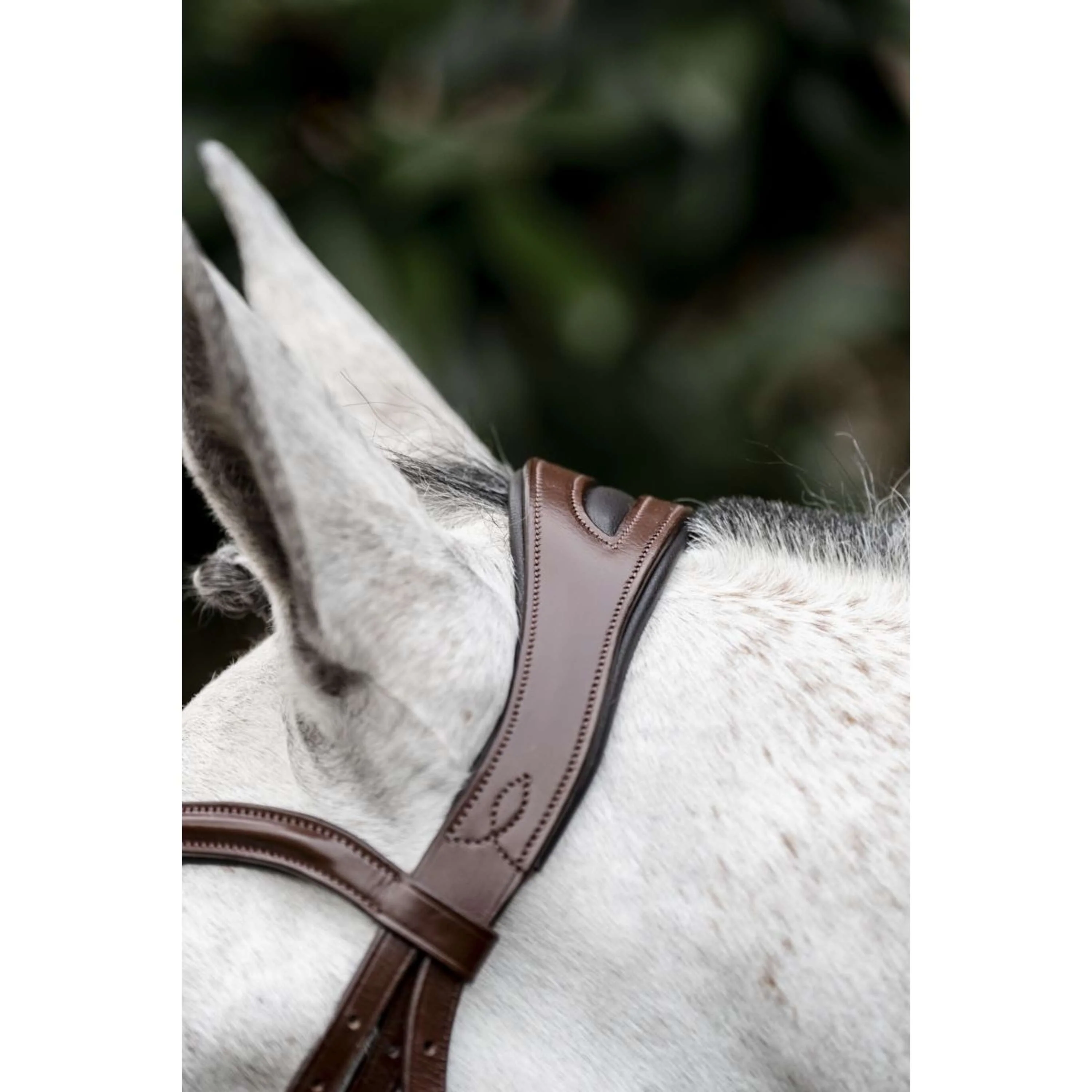 Horseware Bride Pony Flash Marron - Image 10
