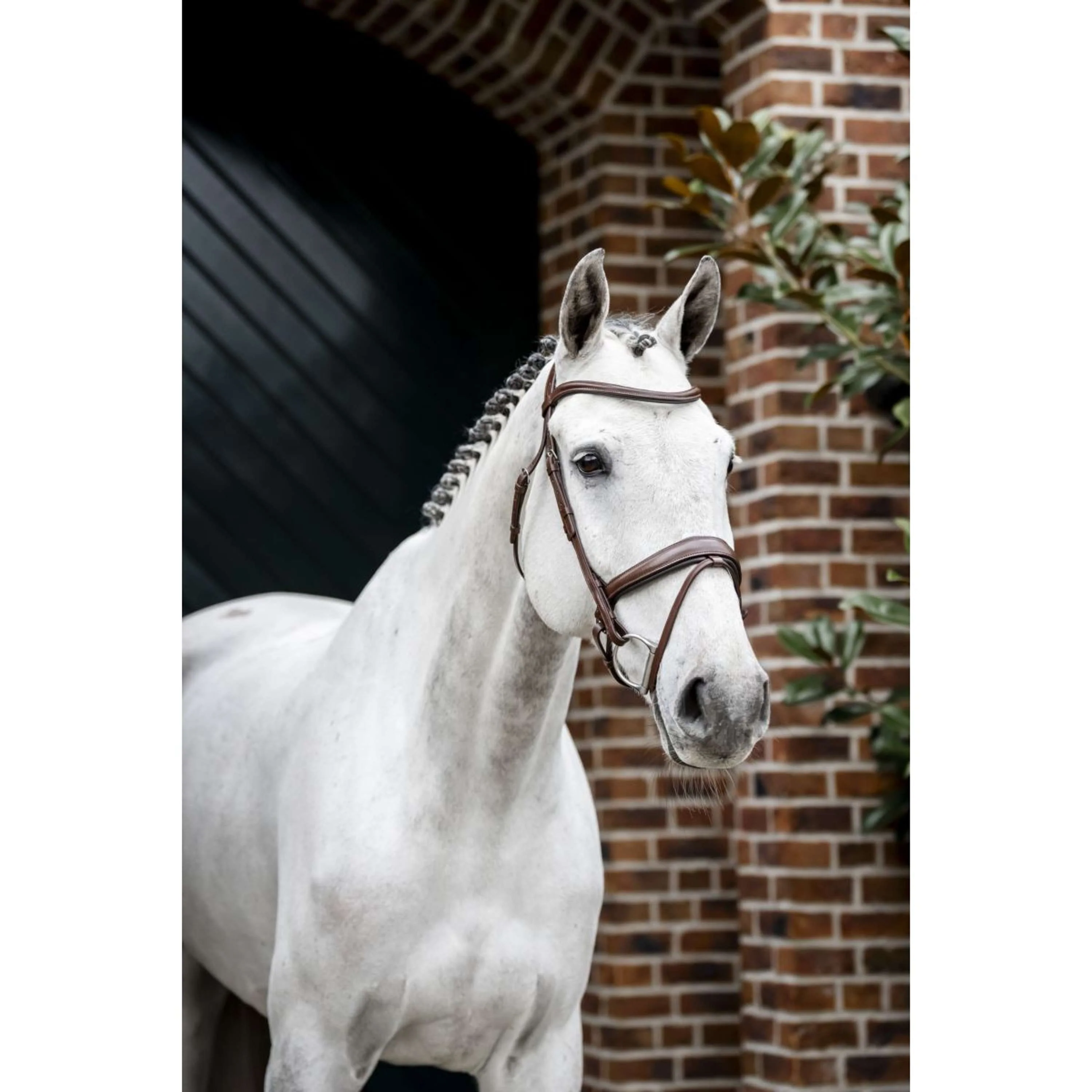 Horseware Bride Pony Flash Marron - Image 11
