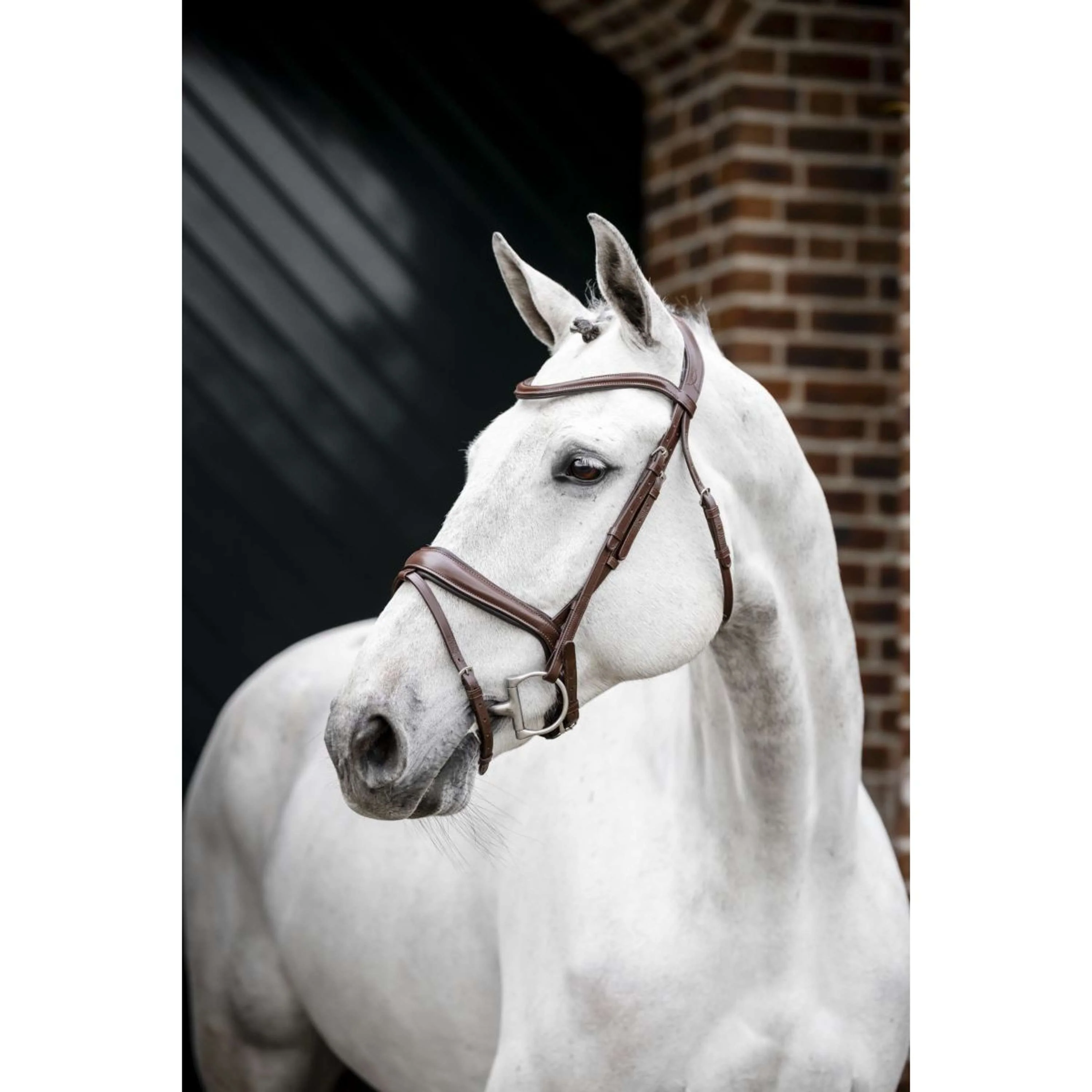 Horseware Bride Pony Flash Marron - Image 2