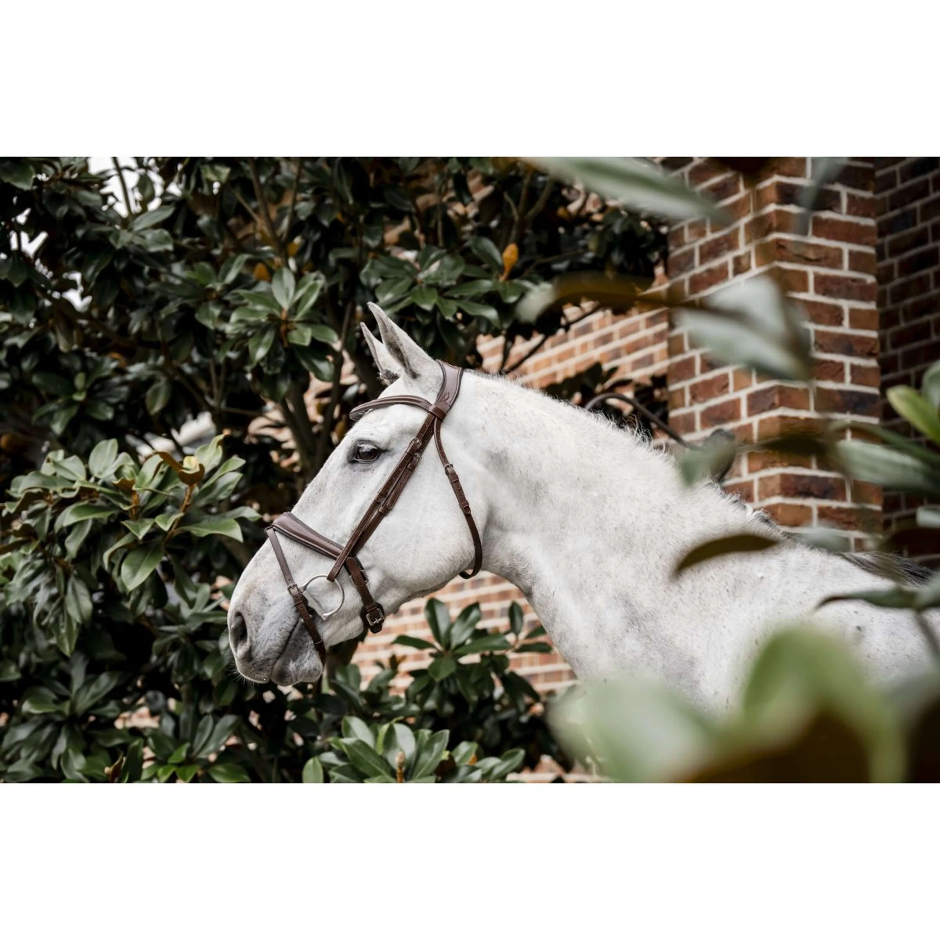 Horseware Bride Pony Flash Marron - Image 4
