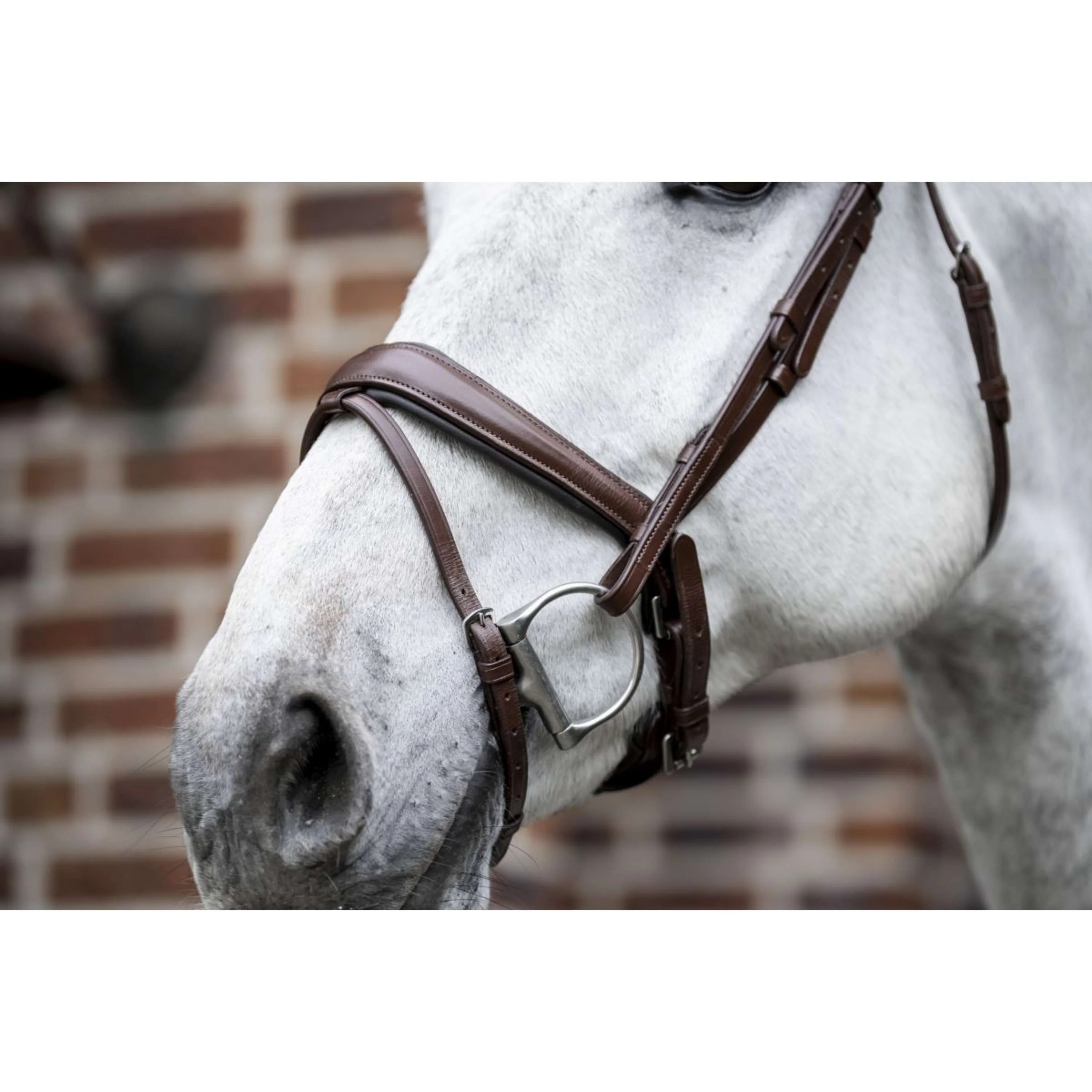 Horseware Bride Pony Flash Marron - Image 5
