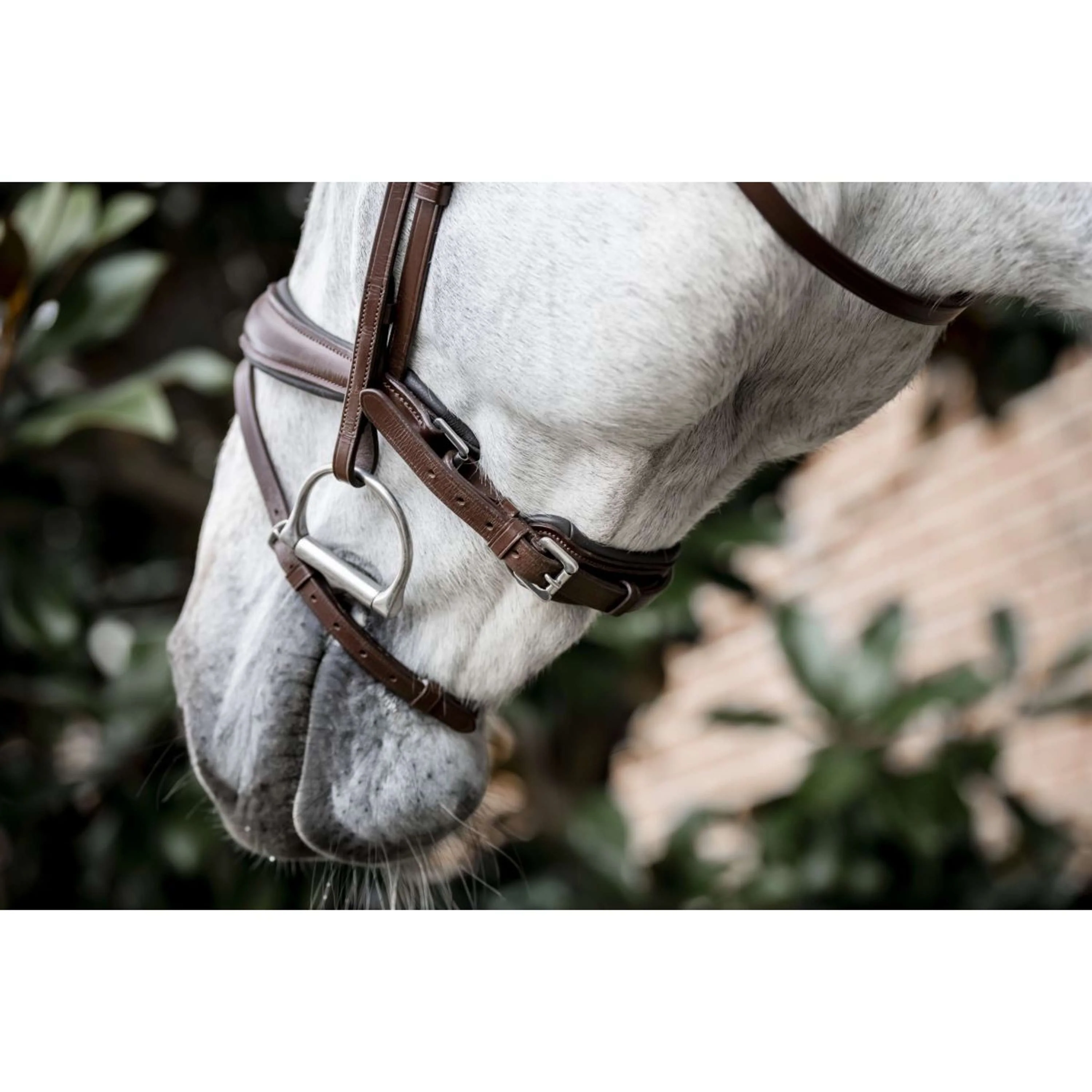 Horseware Bride Pony Flash Marron - Image 6