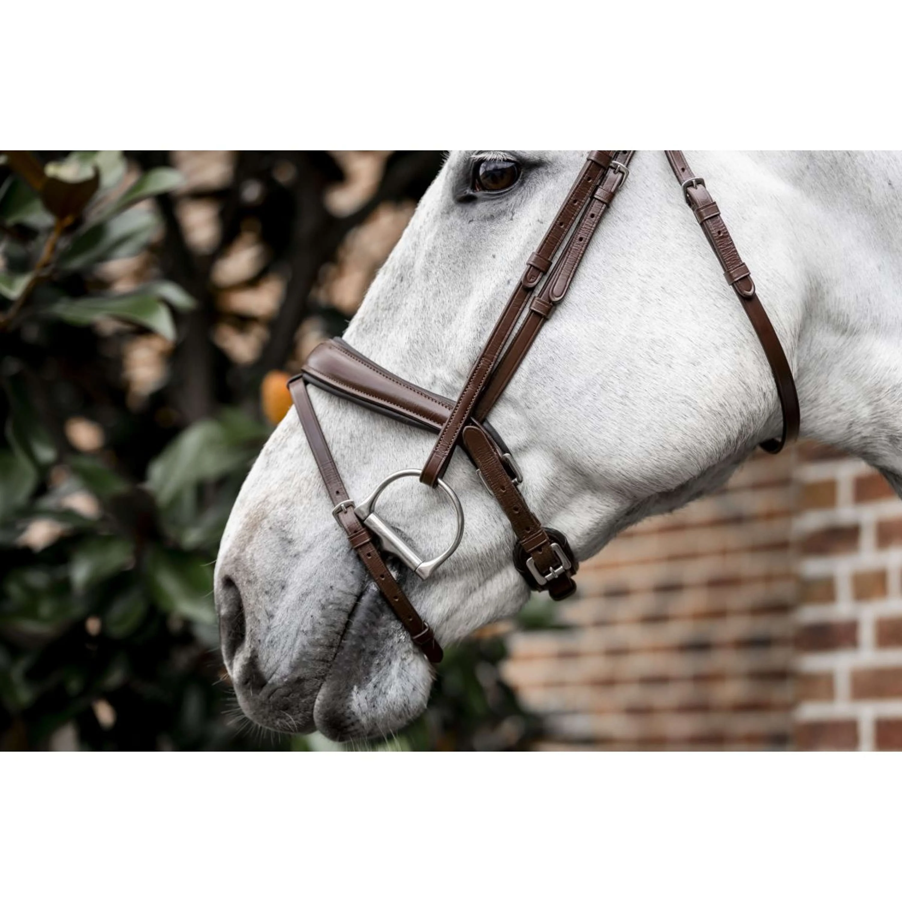 Horseware Bride Pony Flash Marron - Image 7
