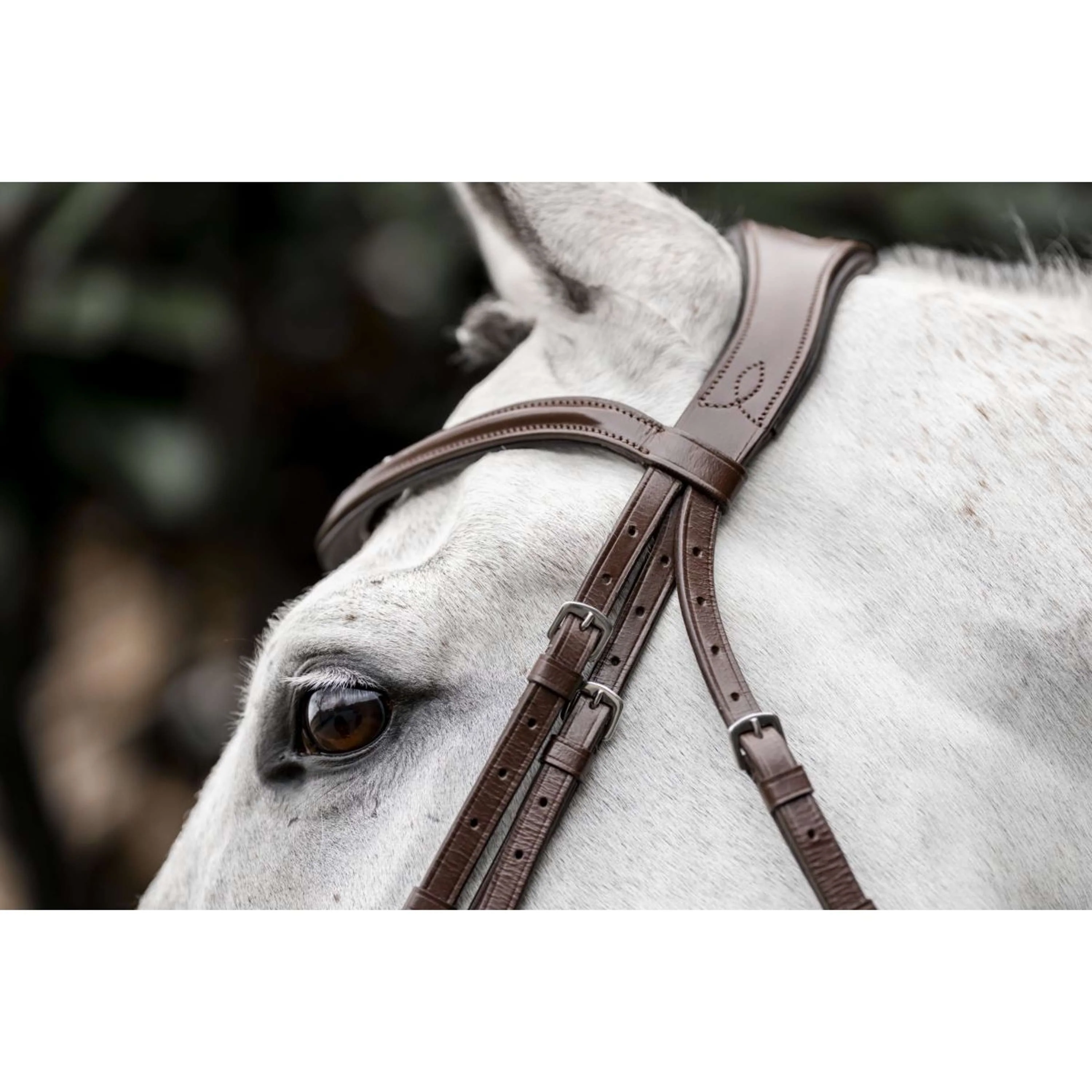 Horseware Bride Pony Flash Marron - Image 8