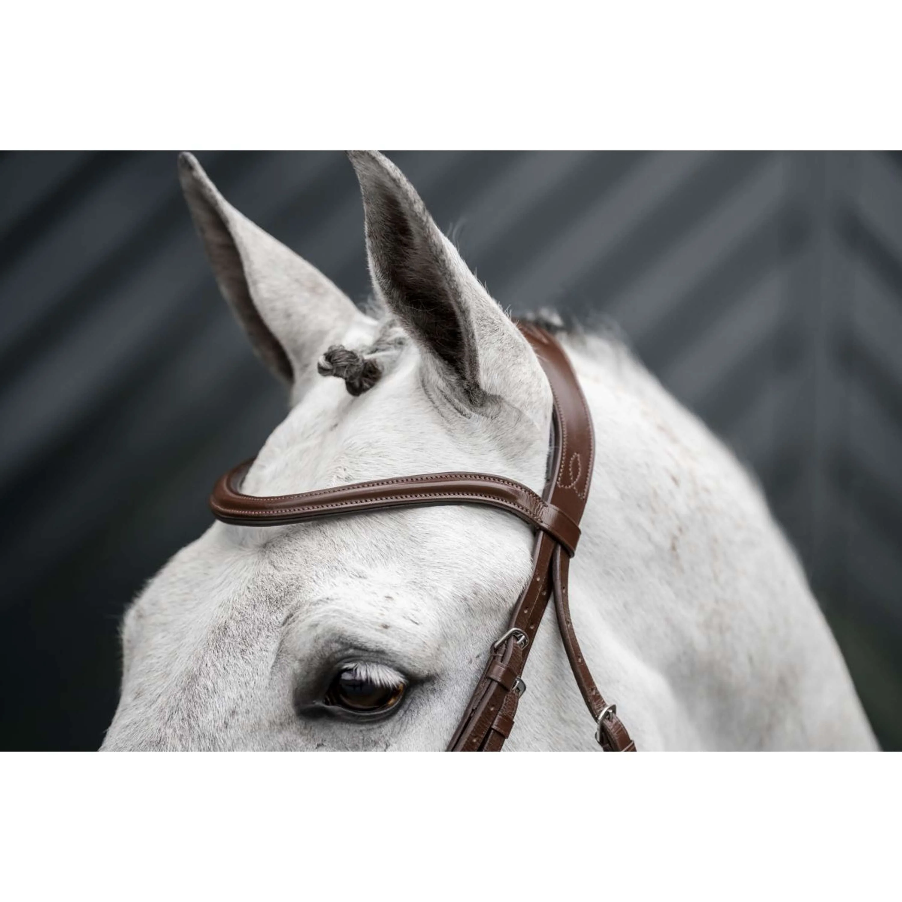Horseware Bride Pony Flash Marron - Image 9