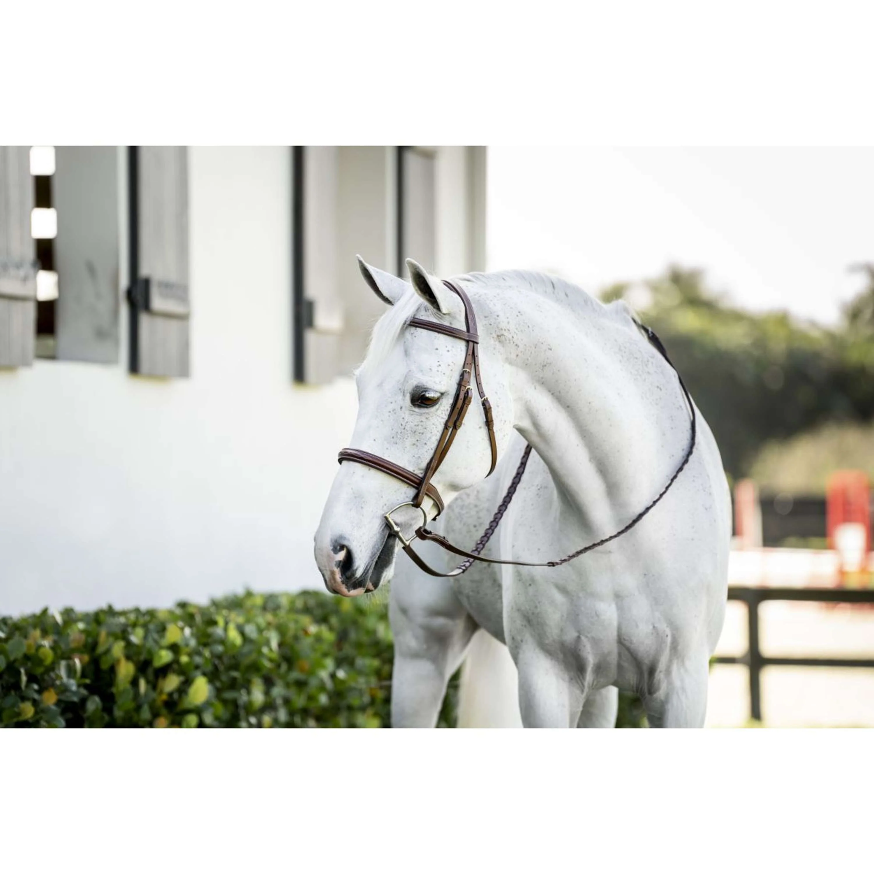 Horseware Bride Pony Hunter Cavesson avec Rênes Dark Tan