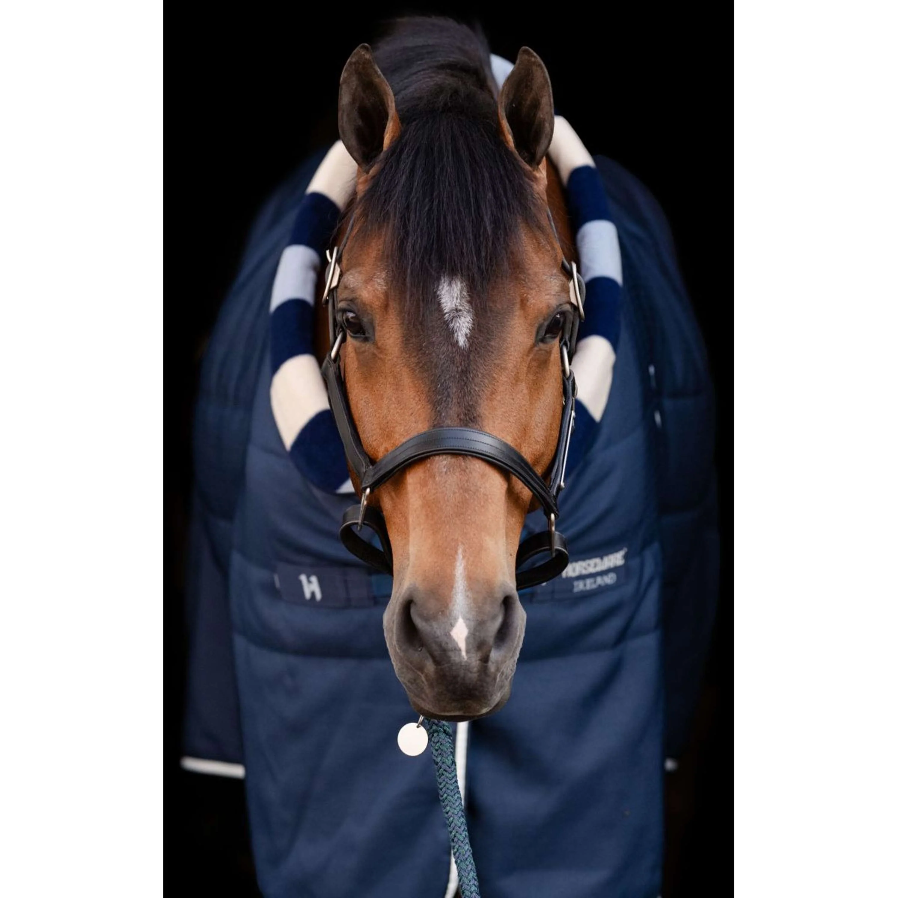 Horseware Cosy Stable Newmarket 100g Witney Navy - Image 2