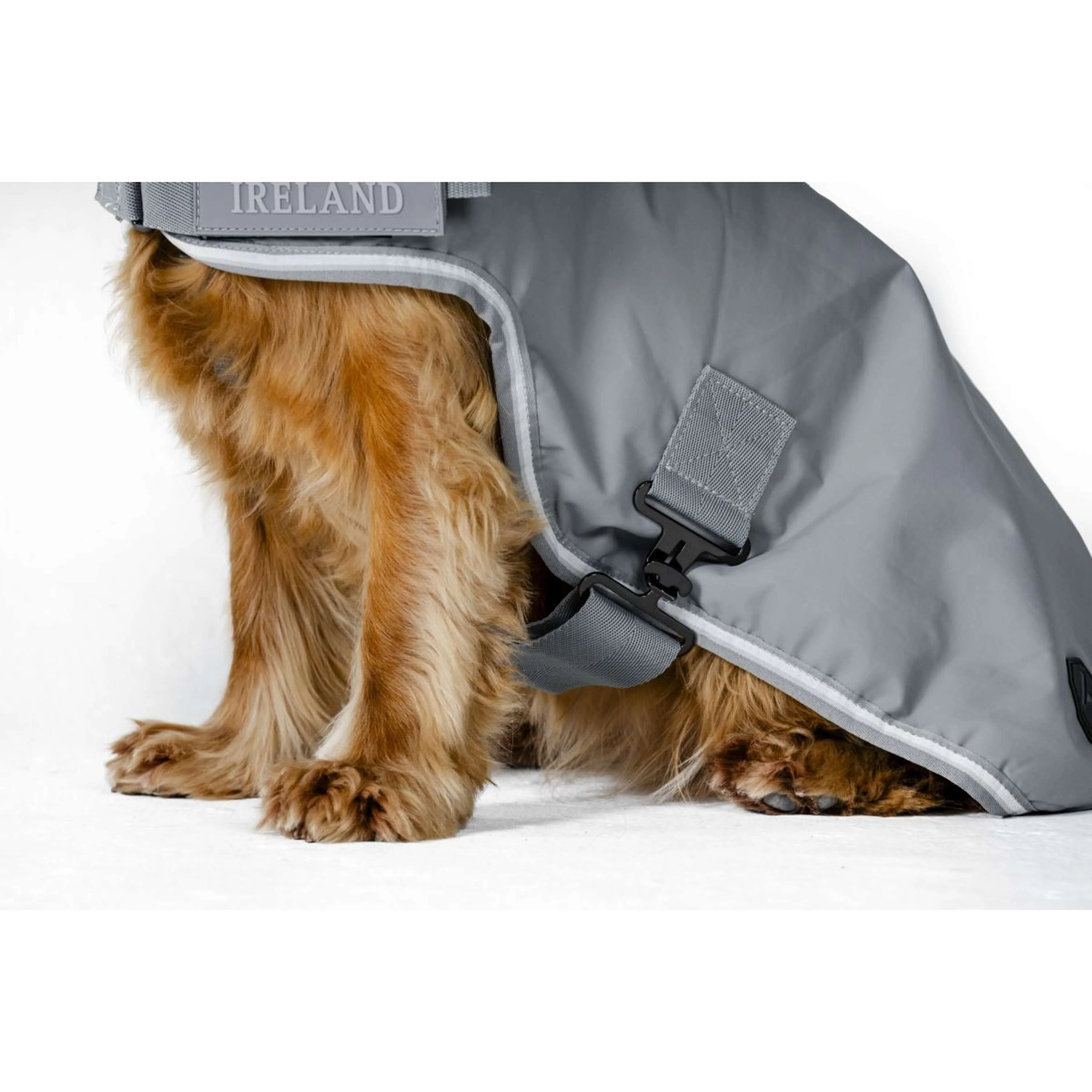 Horseware Couverture pour Chien Newmarket Witney Charcoal - Image 6