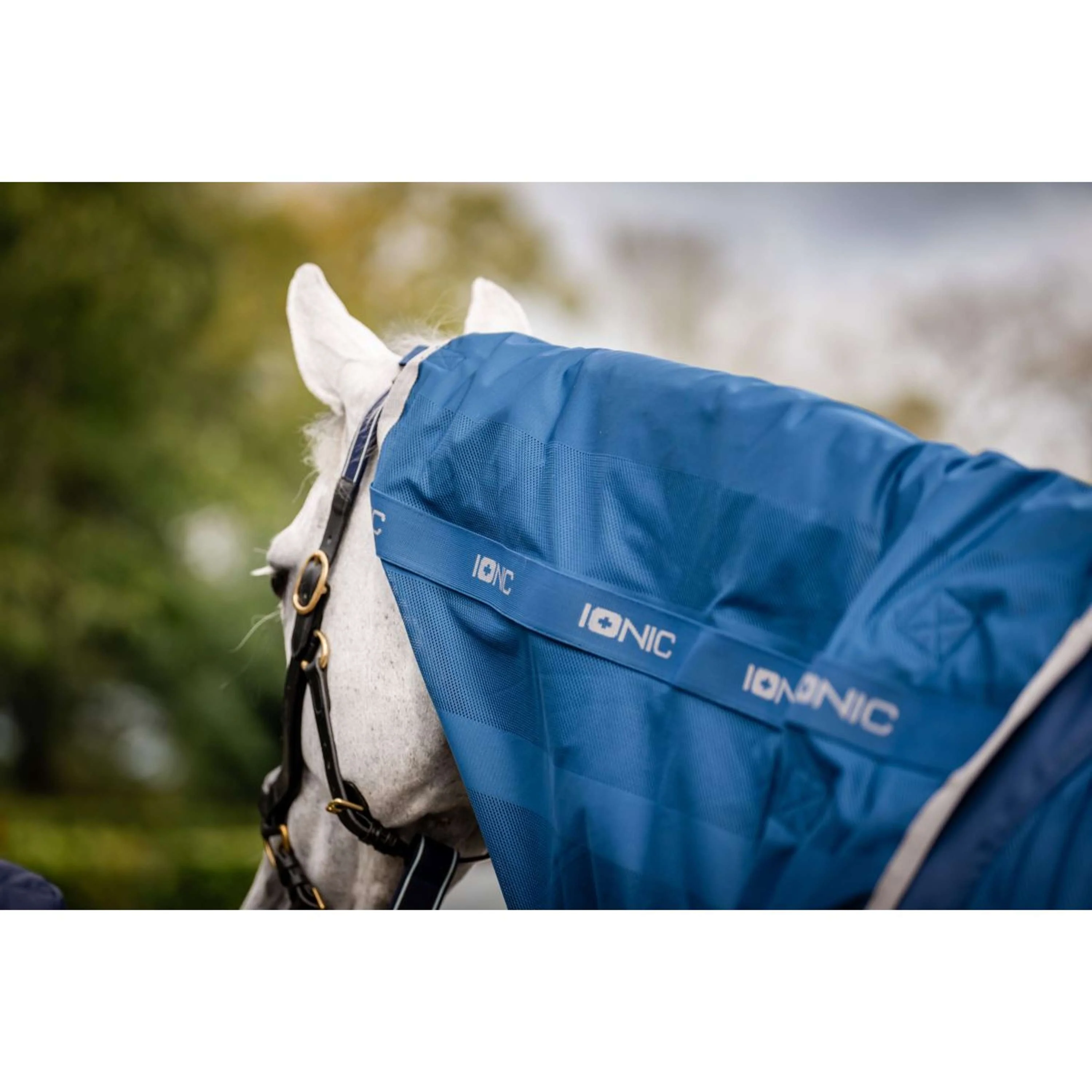Horseware Couvre-Cou Therapy Mesh Cooler Bleu Impérial/Argent/Marine - Image 9