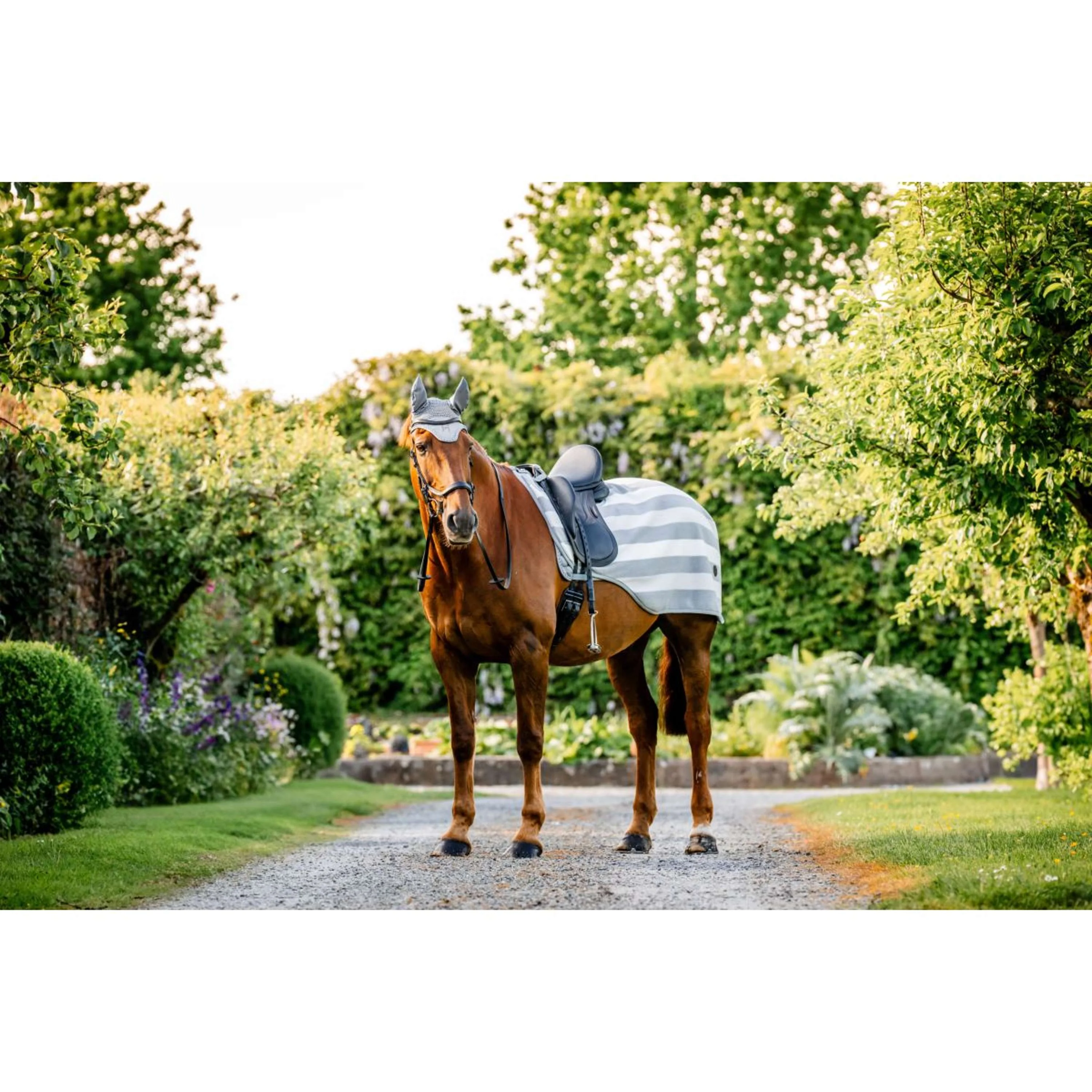Horseware Couvre-reins Newmarket Witney Charcoal