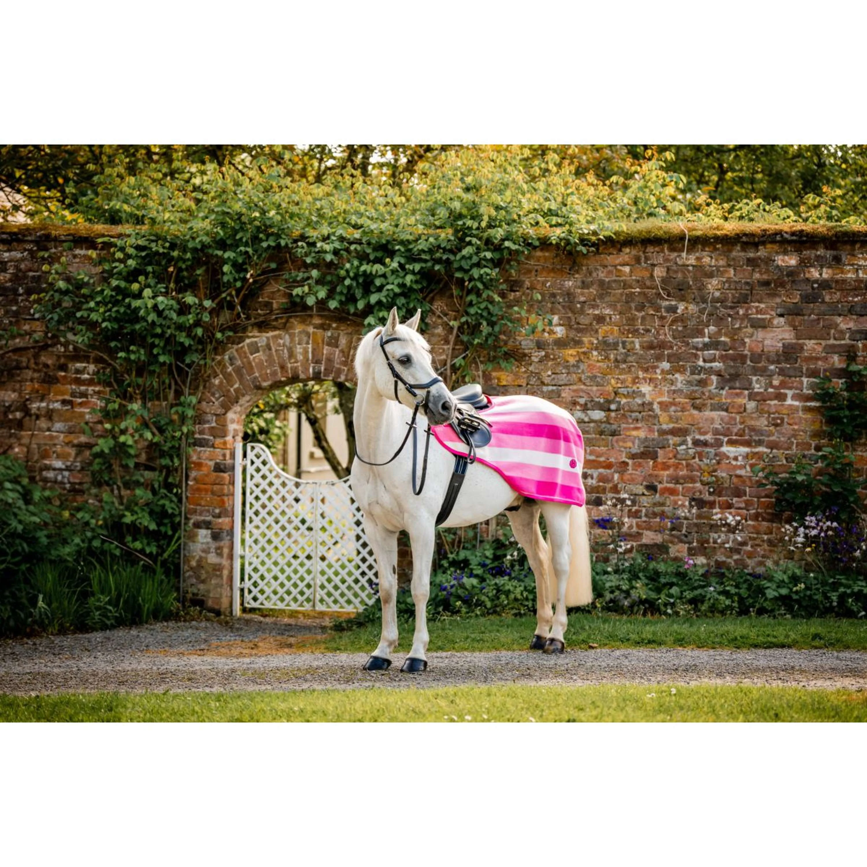 Horseware Couvre-reins Newmarket Witney Pink - Image 2