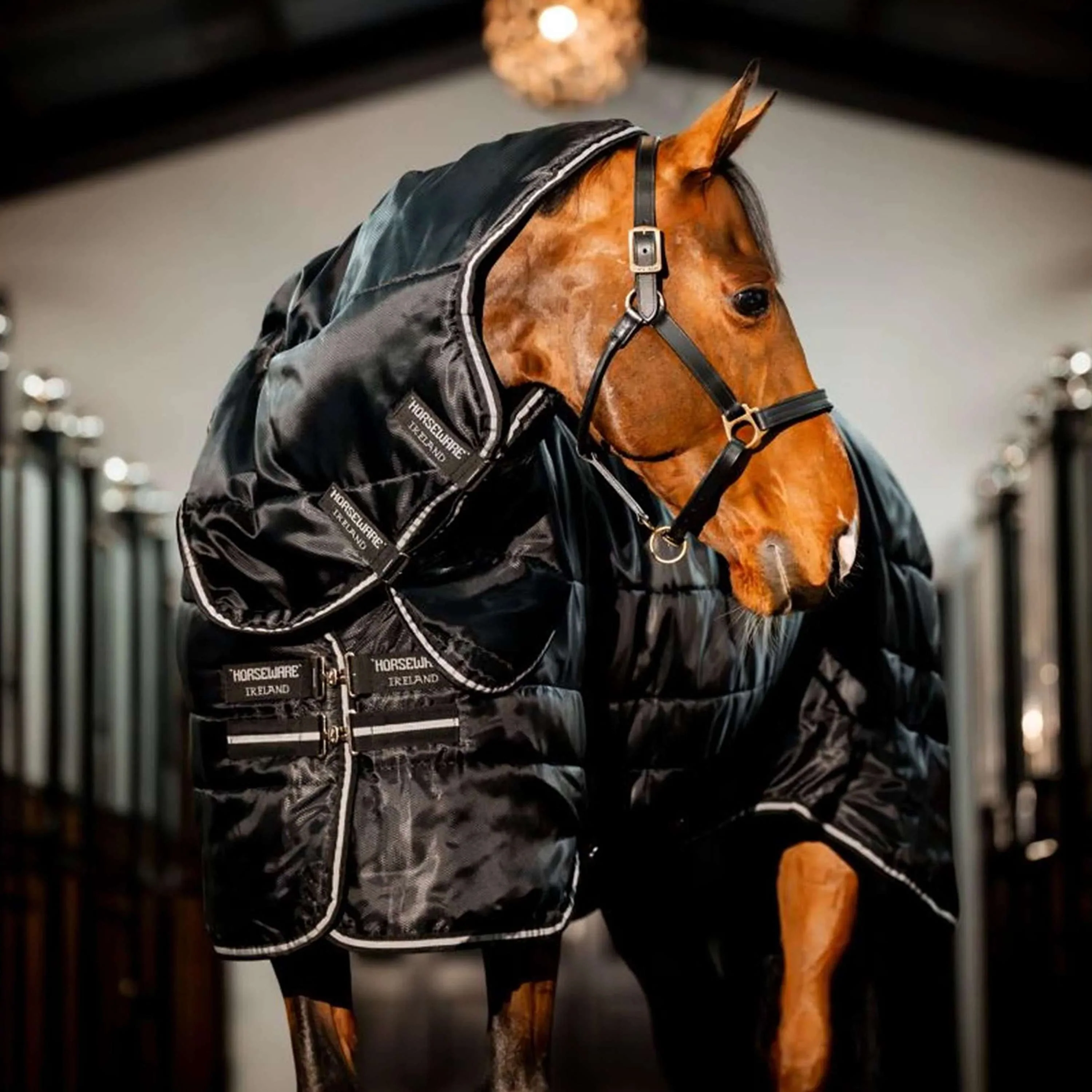 Horseware Easy-Layer Stable Plus Heavy 400g Noir/Noir - Image 2