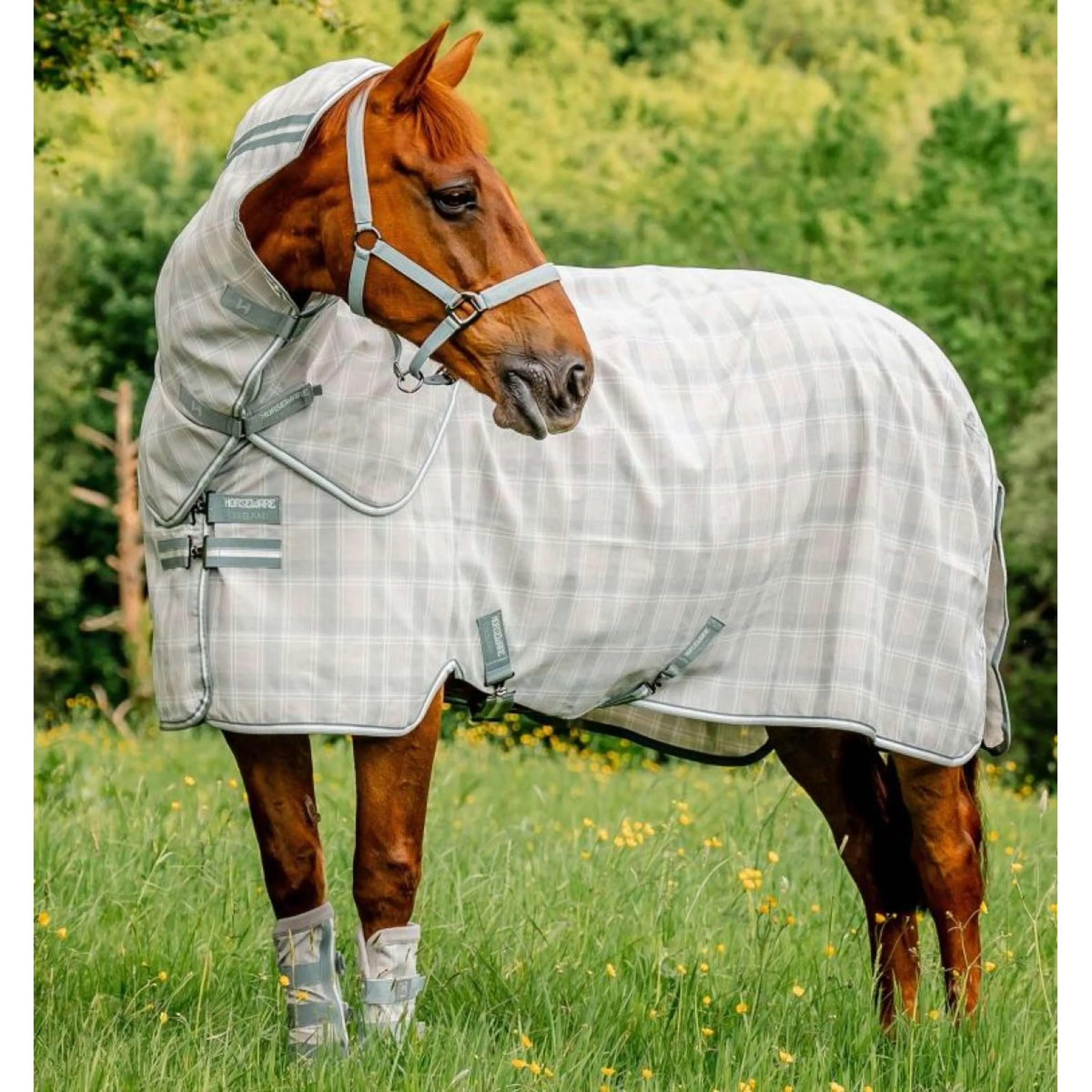 Horseware Fly Boots Newmarket Witney Charcoal - Image 2