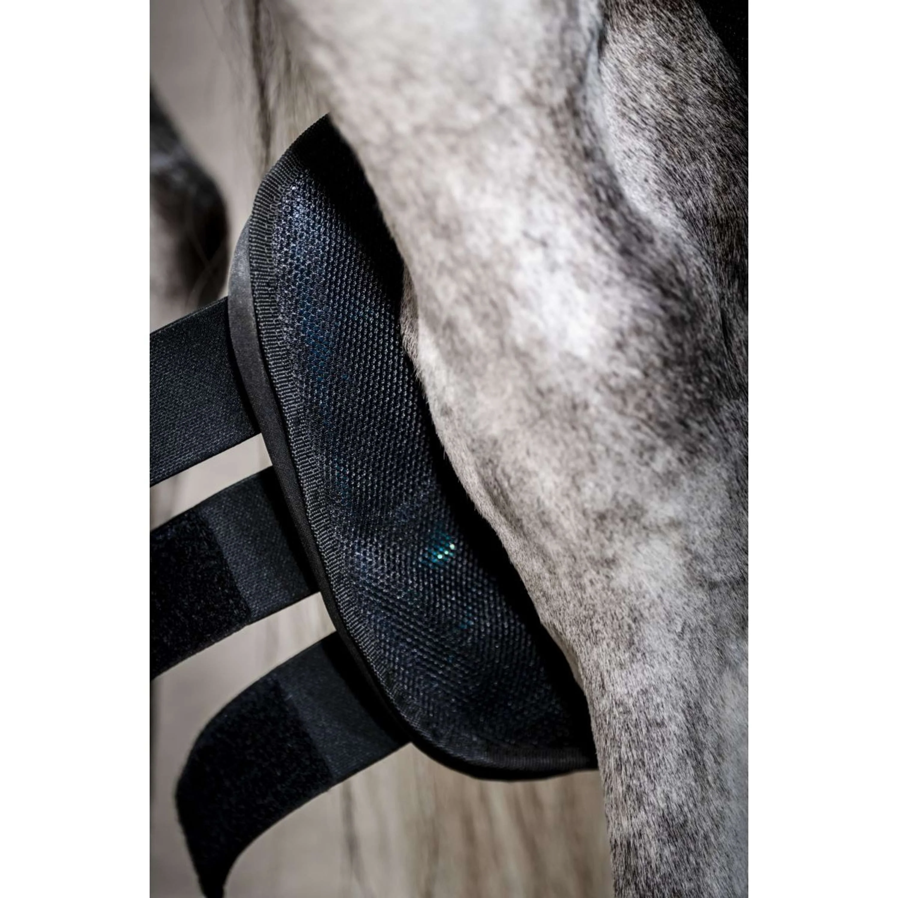 Horseware Ice Gel Hock Boots Noir - Image 4