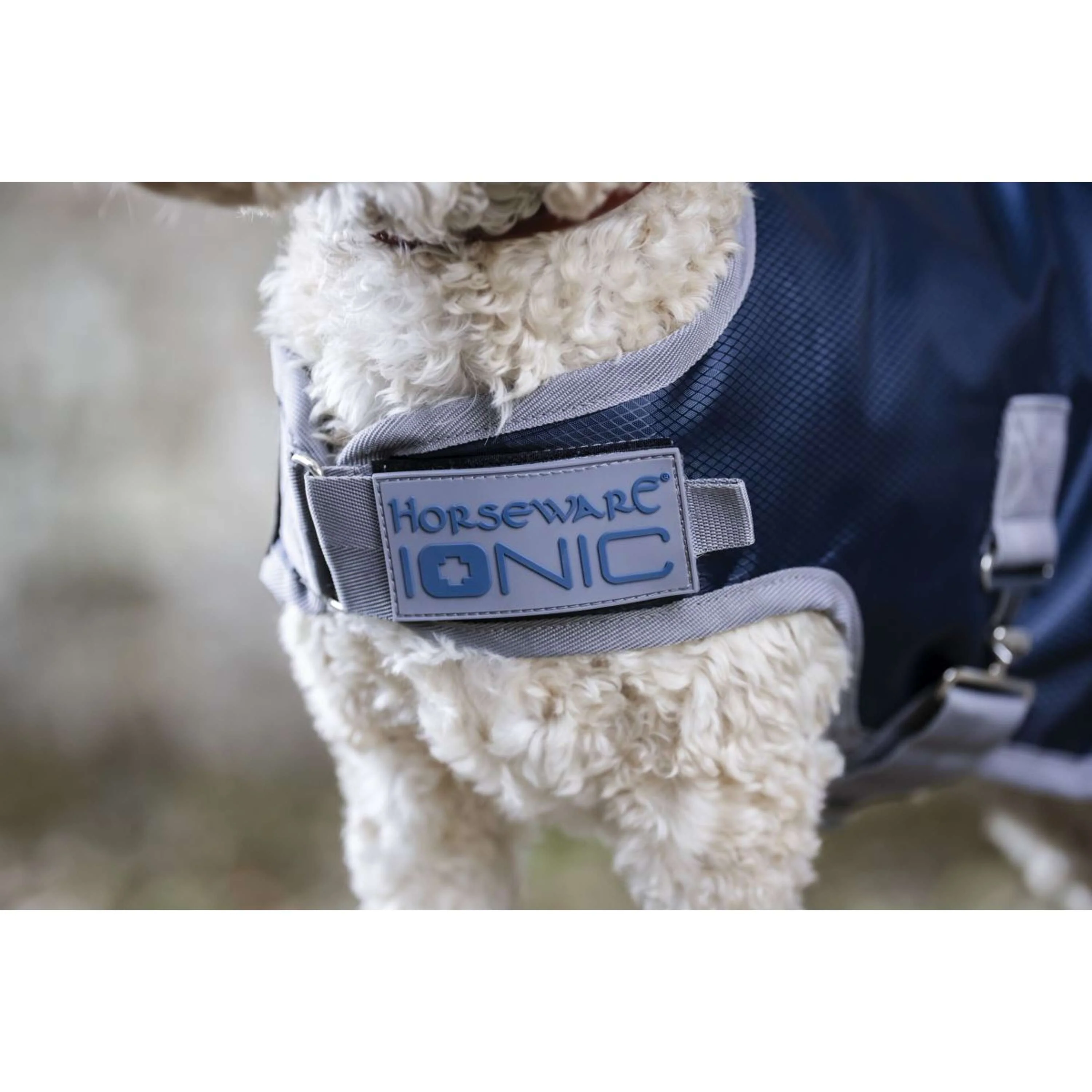Horseware Ionic Therapy Dog Coat 50g Imperial Blue/Silver/Navy - Image 3
