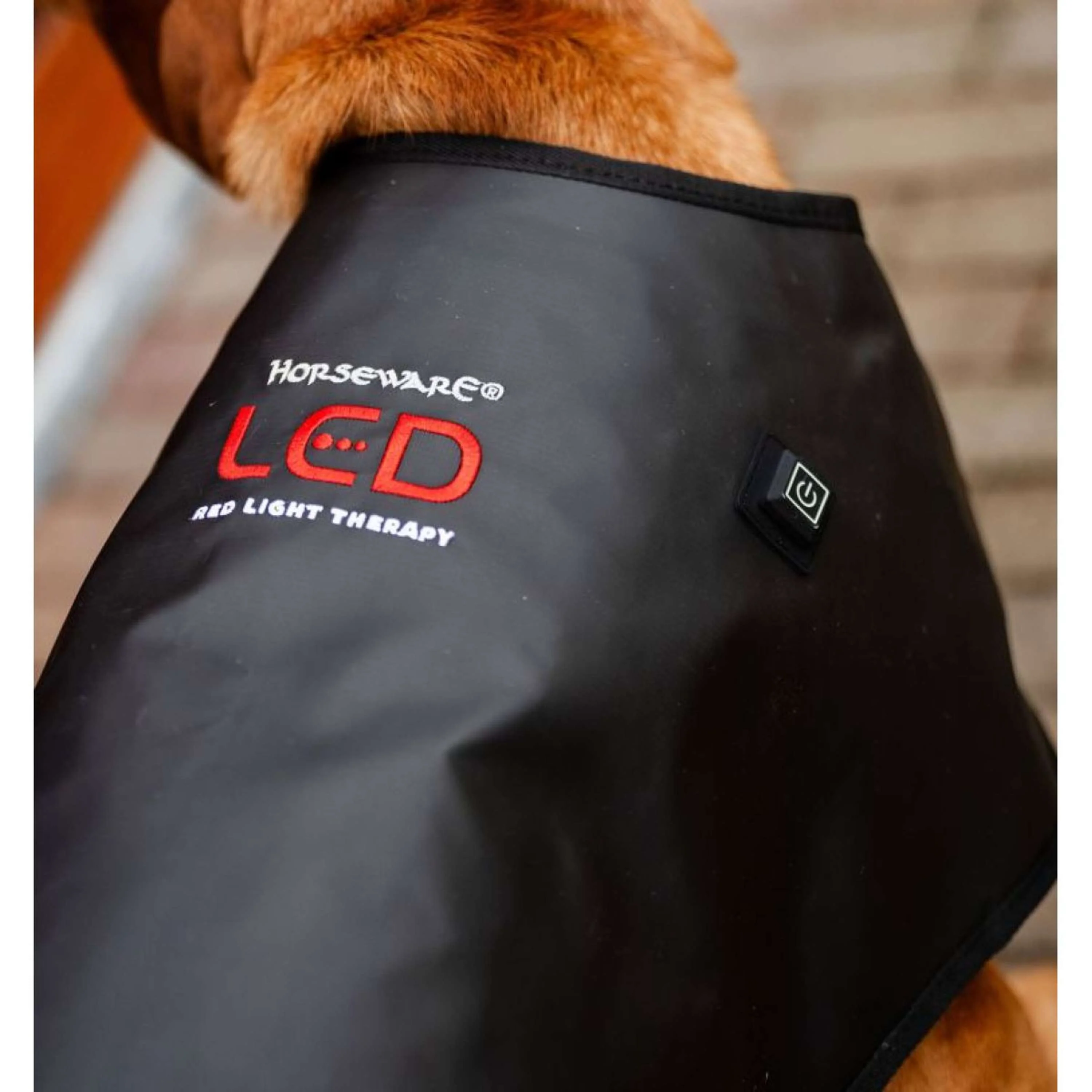 Horseware LED Red Light Therapy Couverture Noir - Image 3