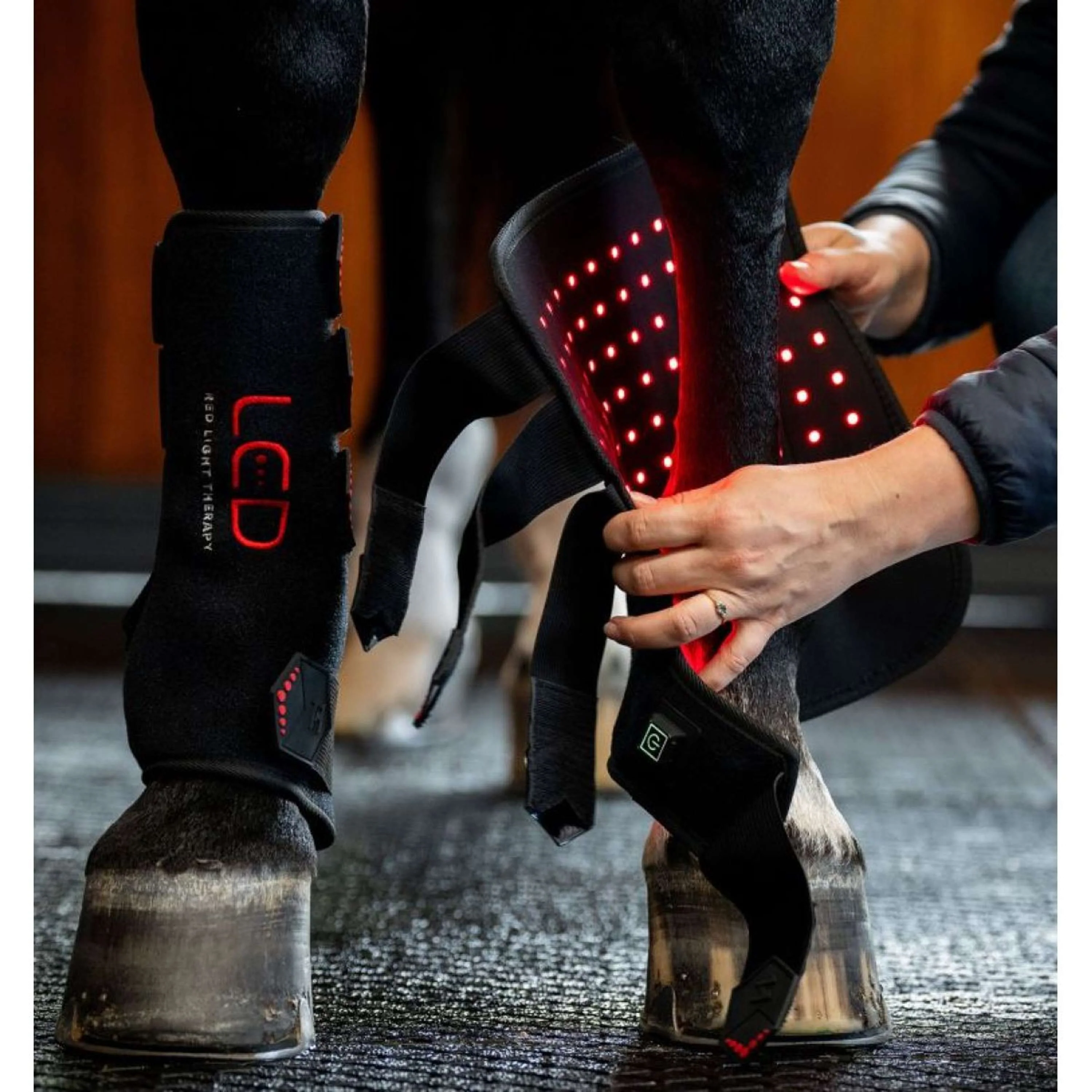 Horseware LED Red Light Therapy Left Leg Wrap Noir - Image 4