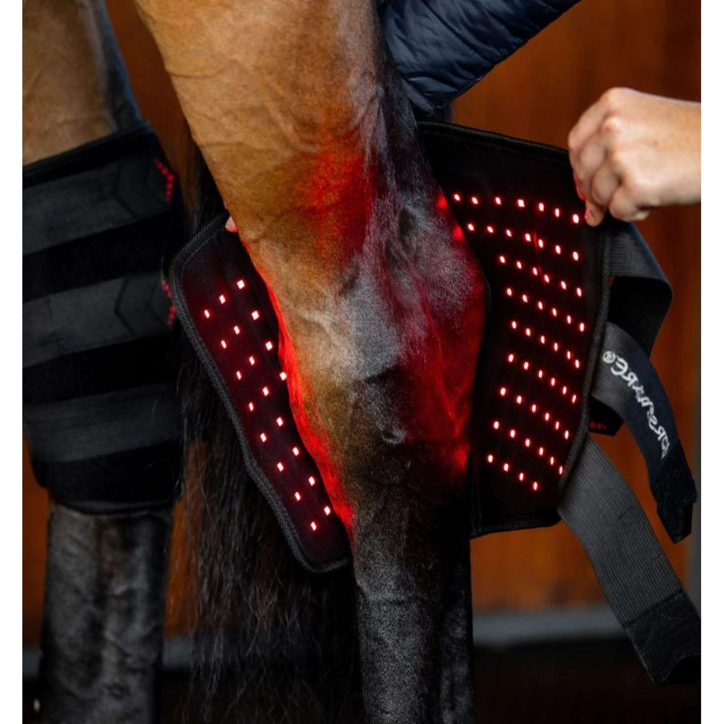 Horseware LED Red Light Therapy Right Hock Boot Noir - Image 5