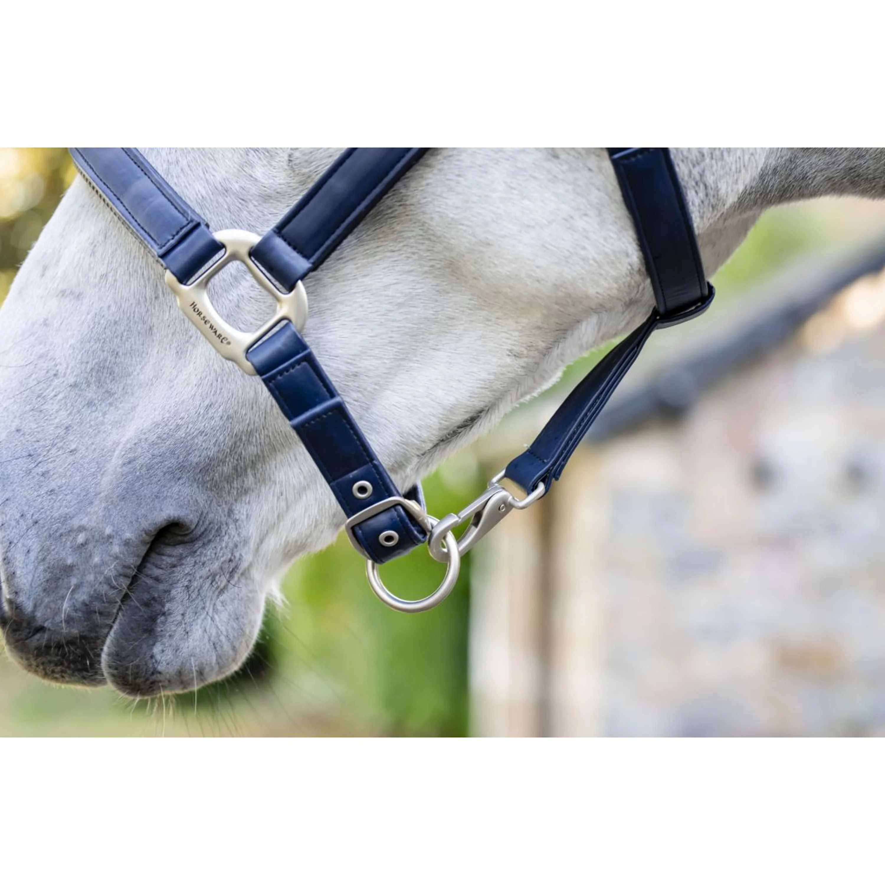 Horseware Licol Grooming Marin - Image 2