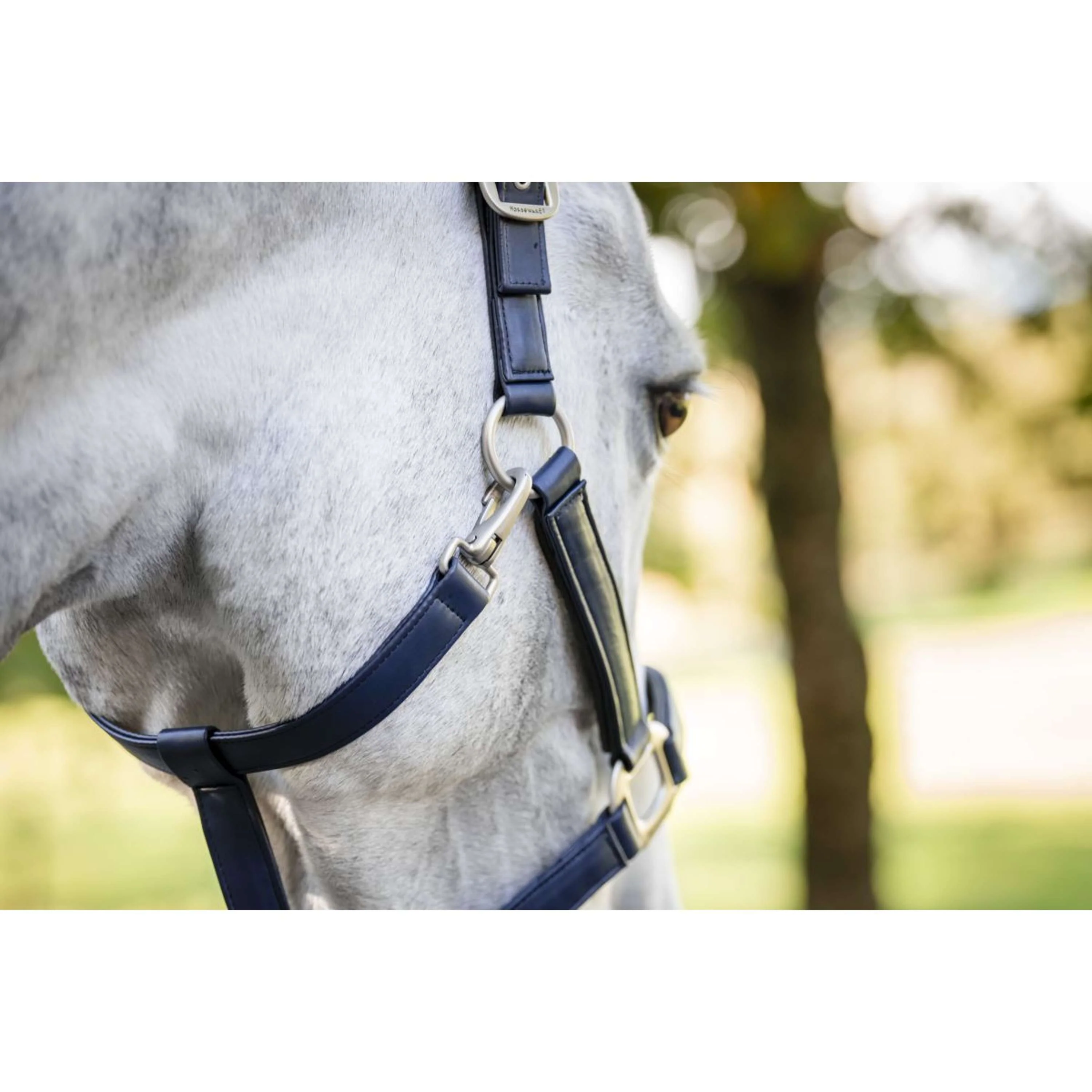 Horseware Licol Grooming Marin - Image 3