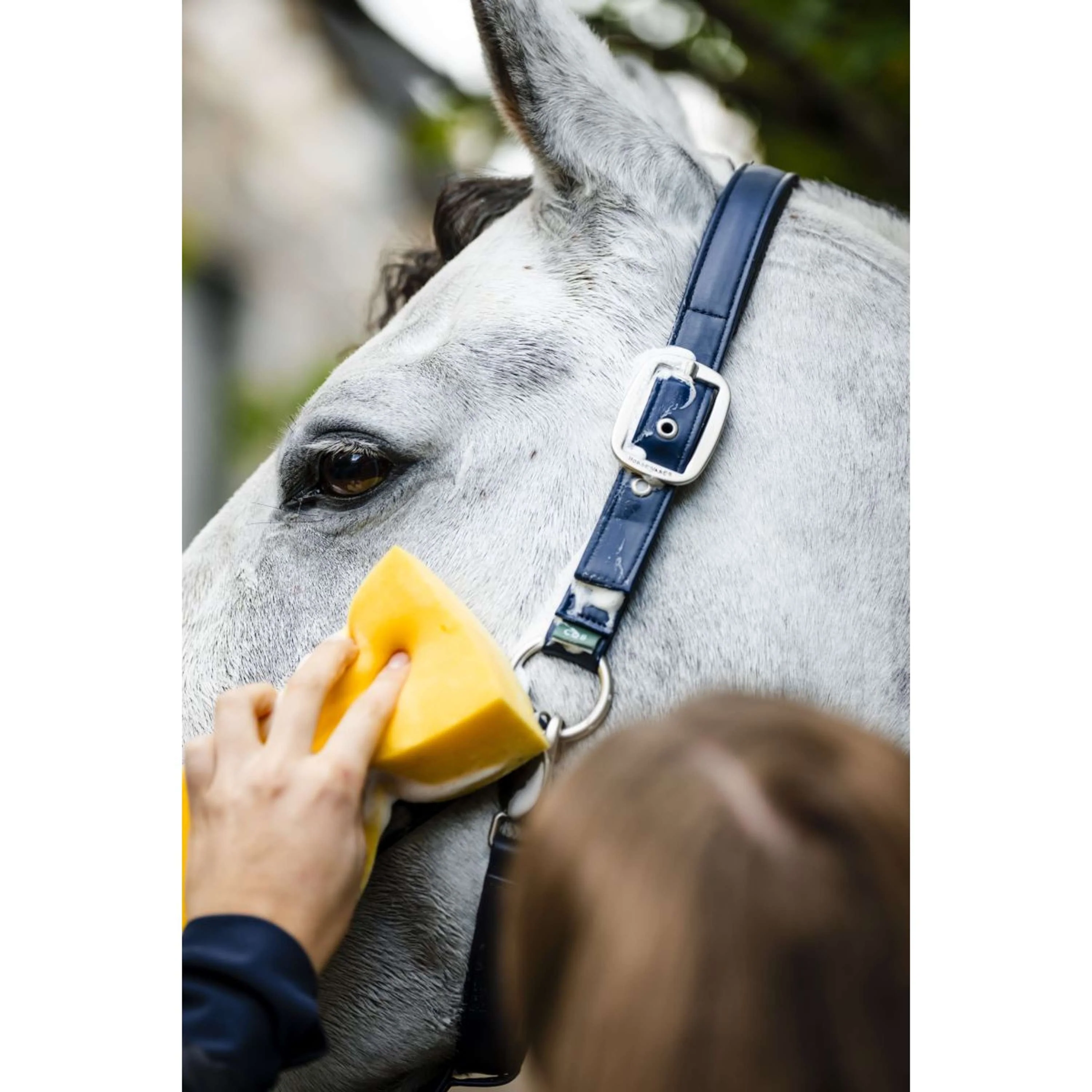 Horseware Licol Grooming Marin - Image 5