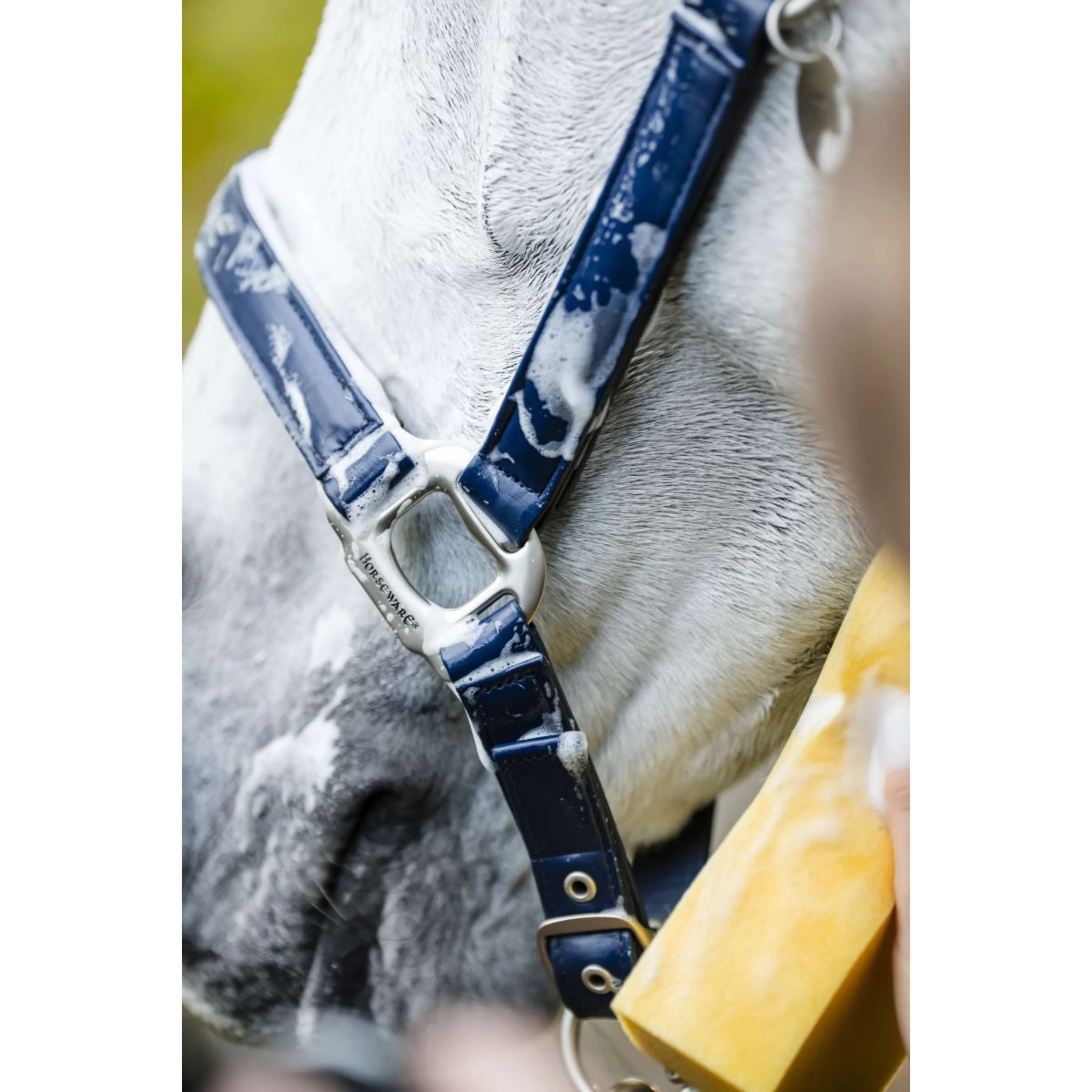 Horseware Licol Grooming Marin - Image 6
