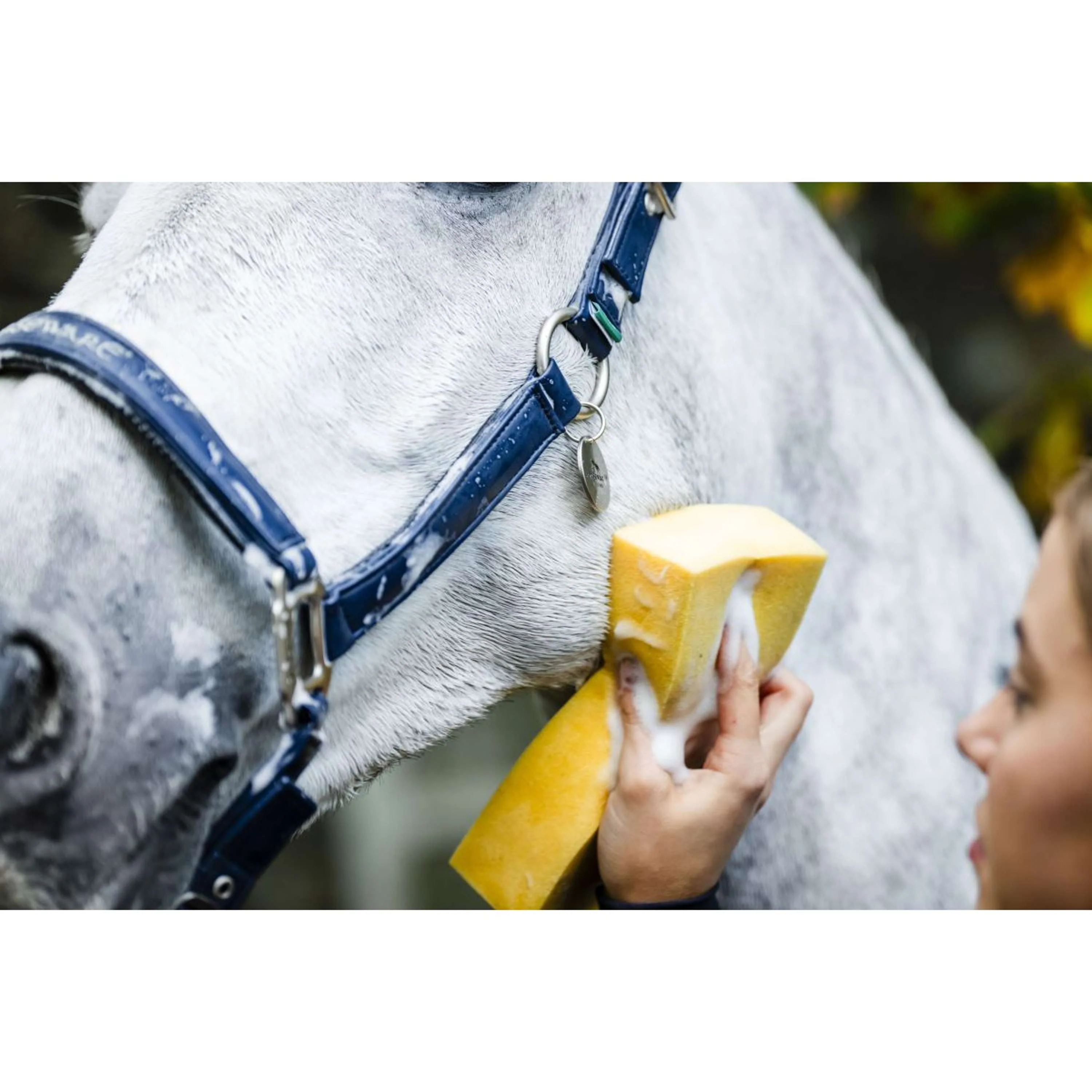 Horseware Licol Grooming Marin - Image 7