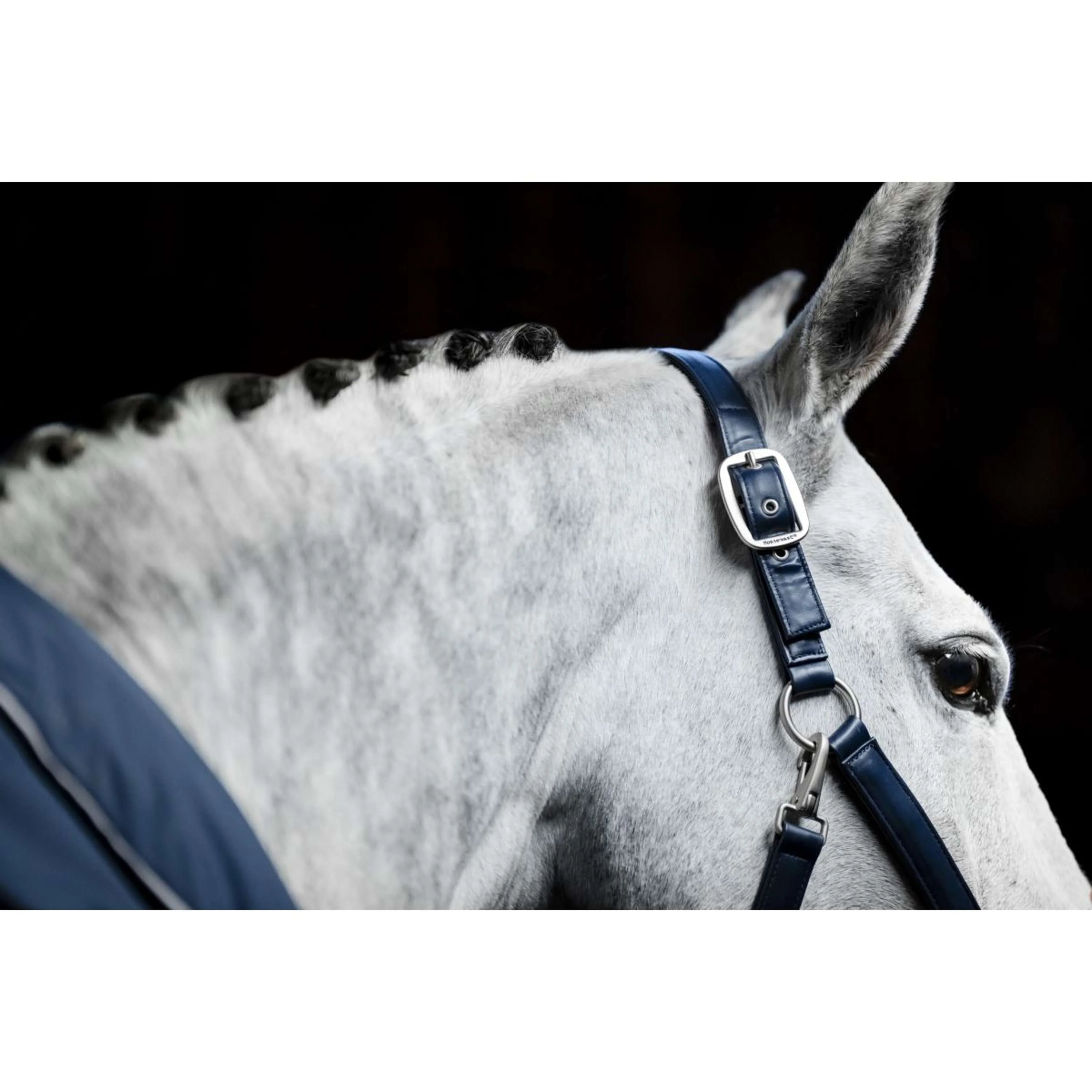Horseware Licol Grooming Marin - Image 9