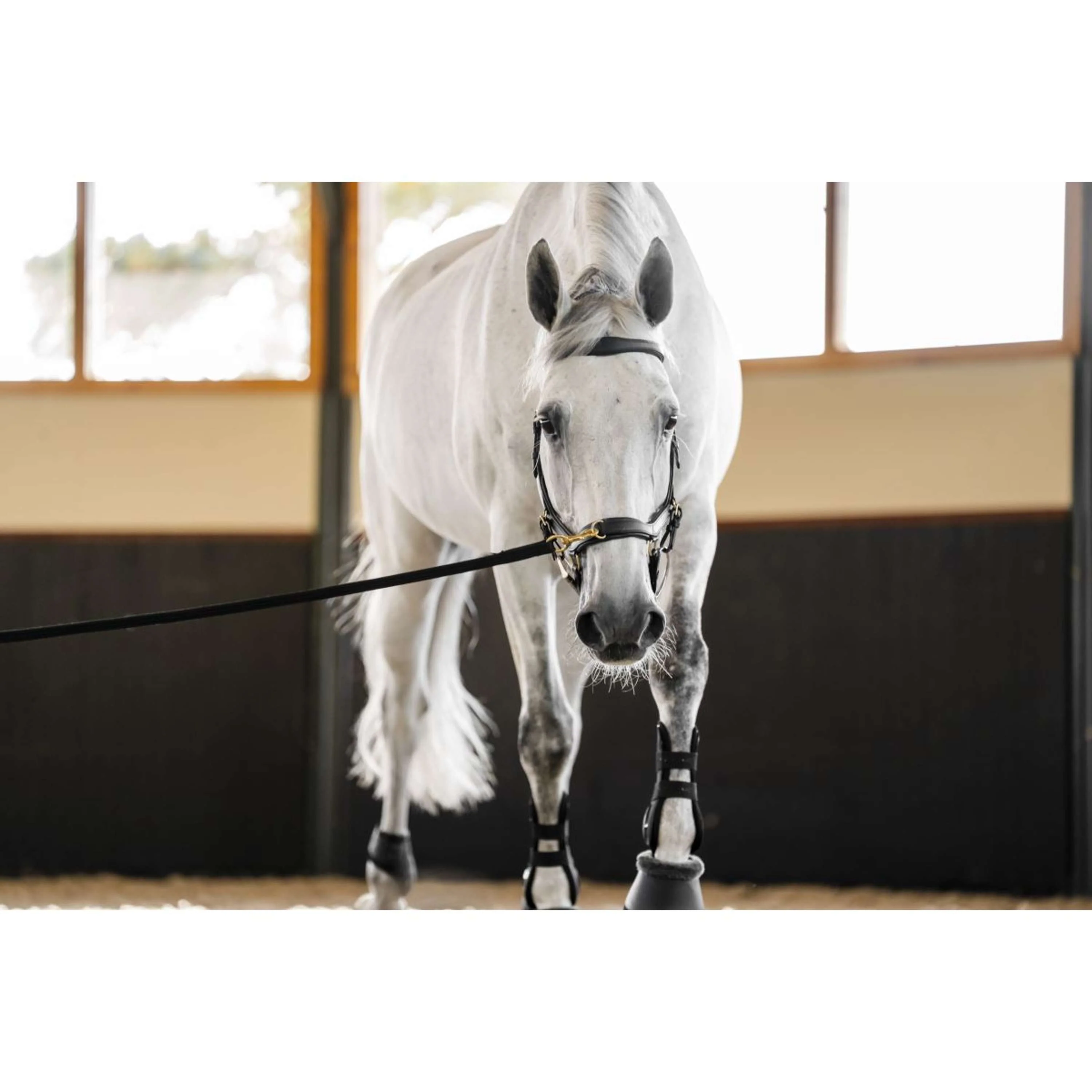 Horseware Micklem Multi Bridle Noir - Image 14