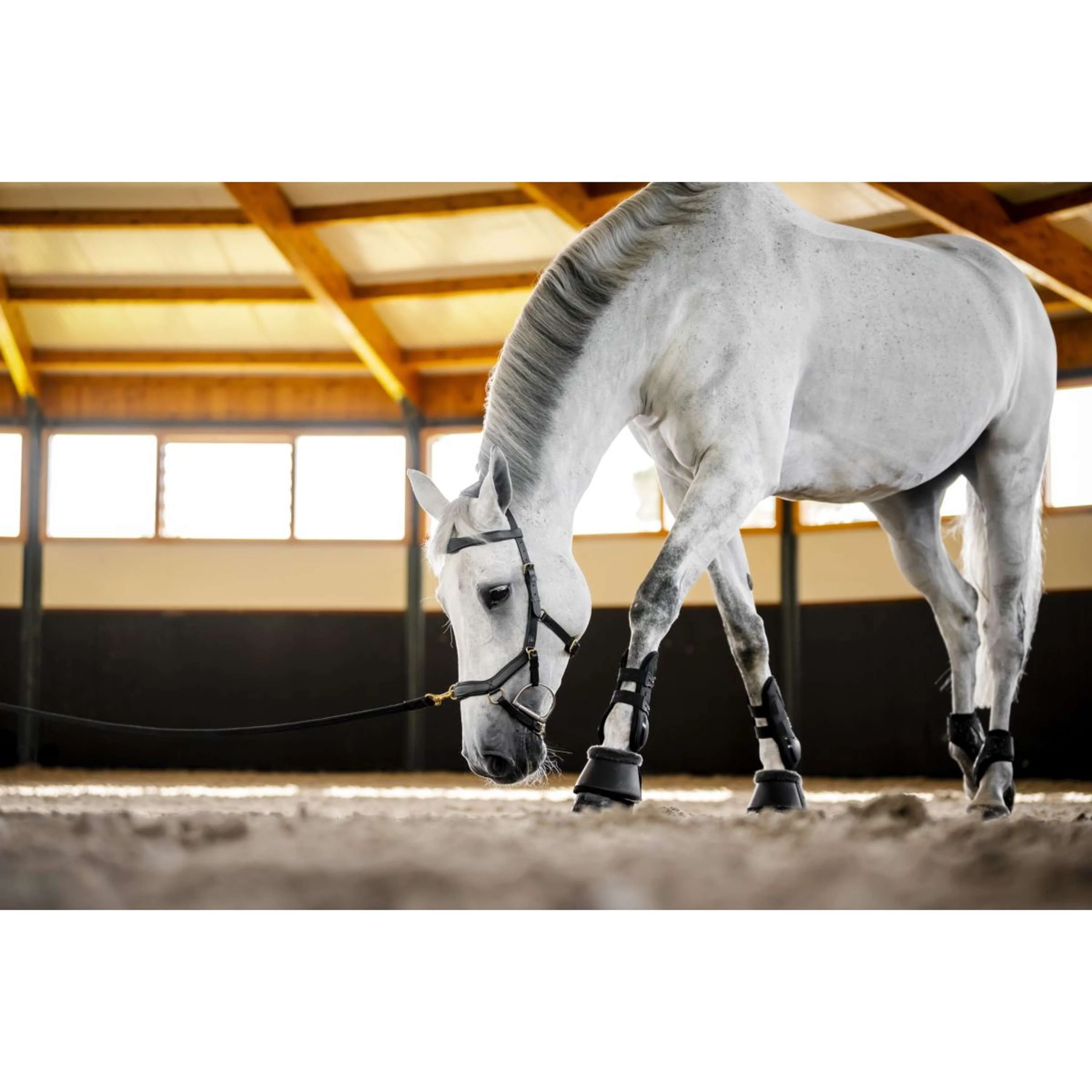 Horseware Micklem Multi Bridle Noir - Image 15