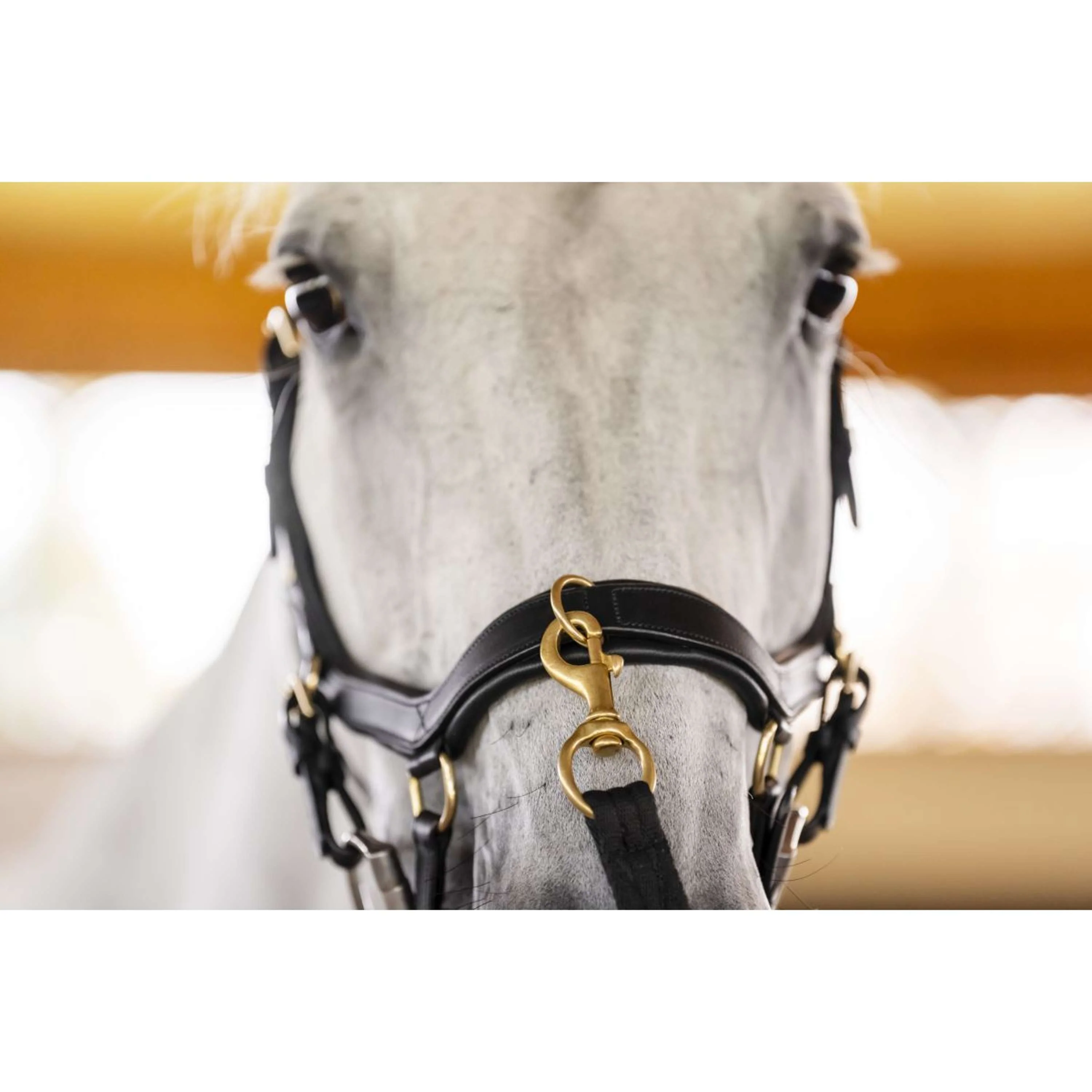 Horseware Micklem Multi Bridle Noir - Image 16
