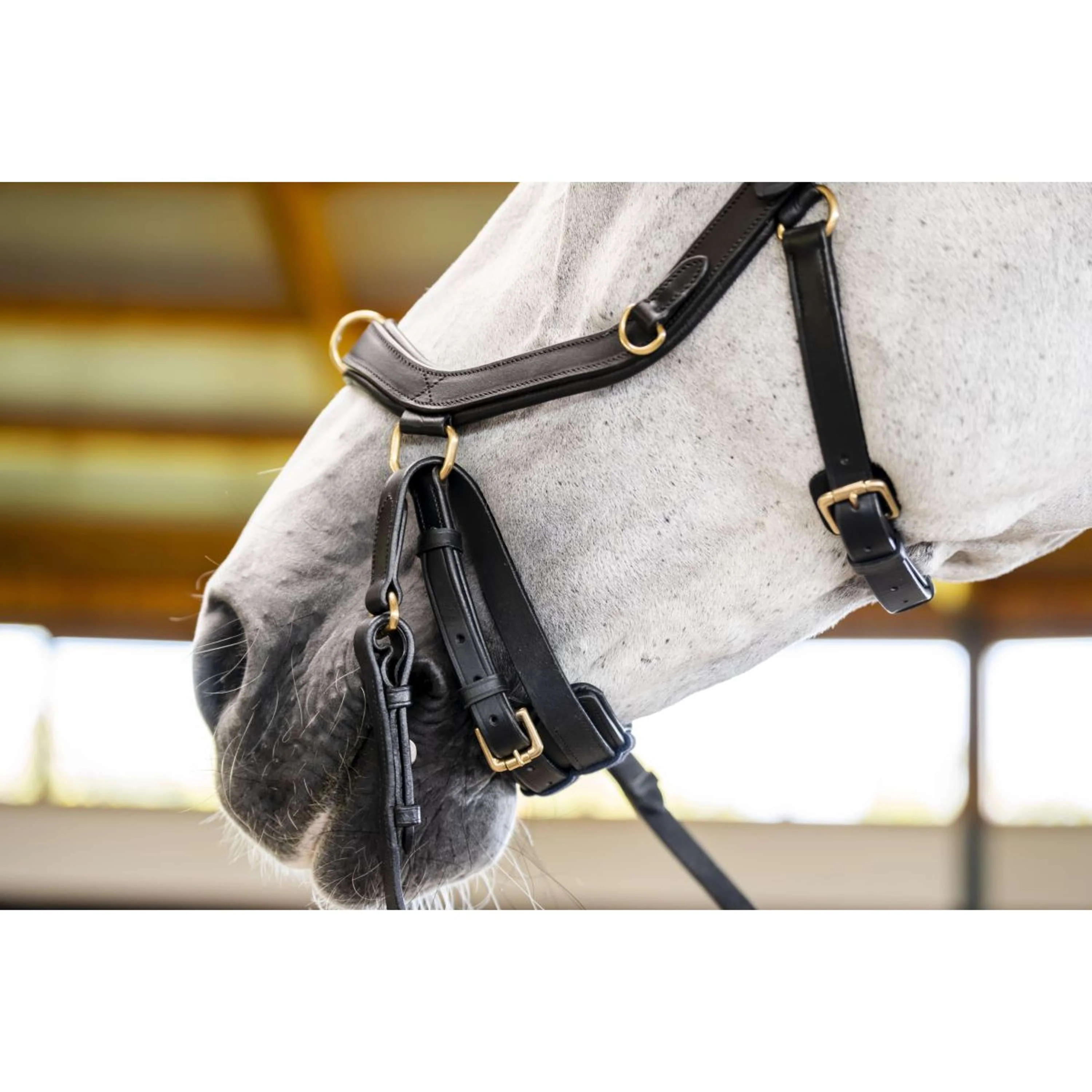 Horseware Micklem Multi Bridle Noir - Image 19