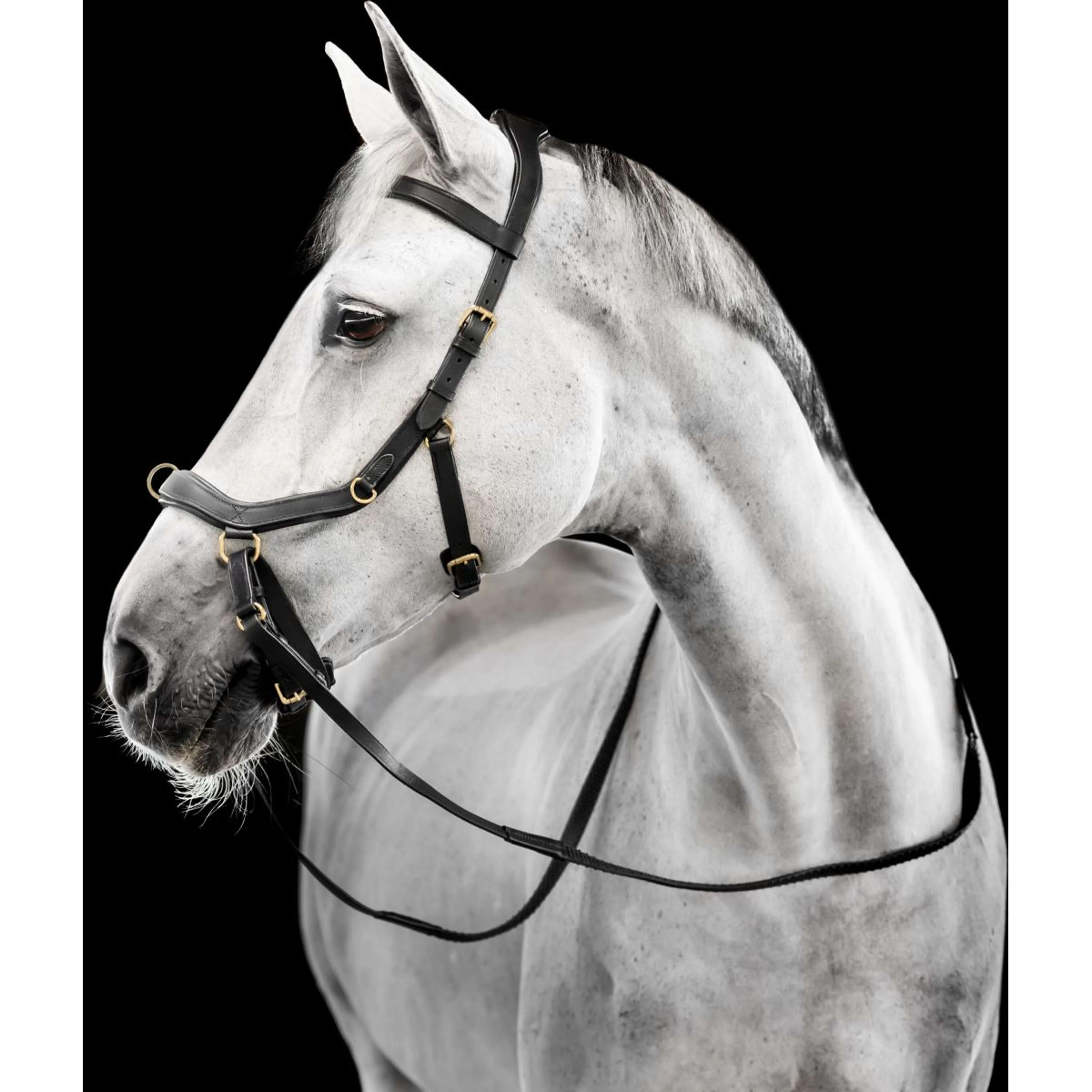 Horseware Micklem Multi Bridle Noir - Image 20