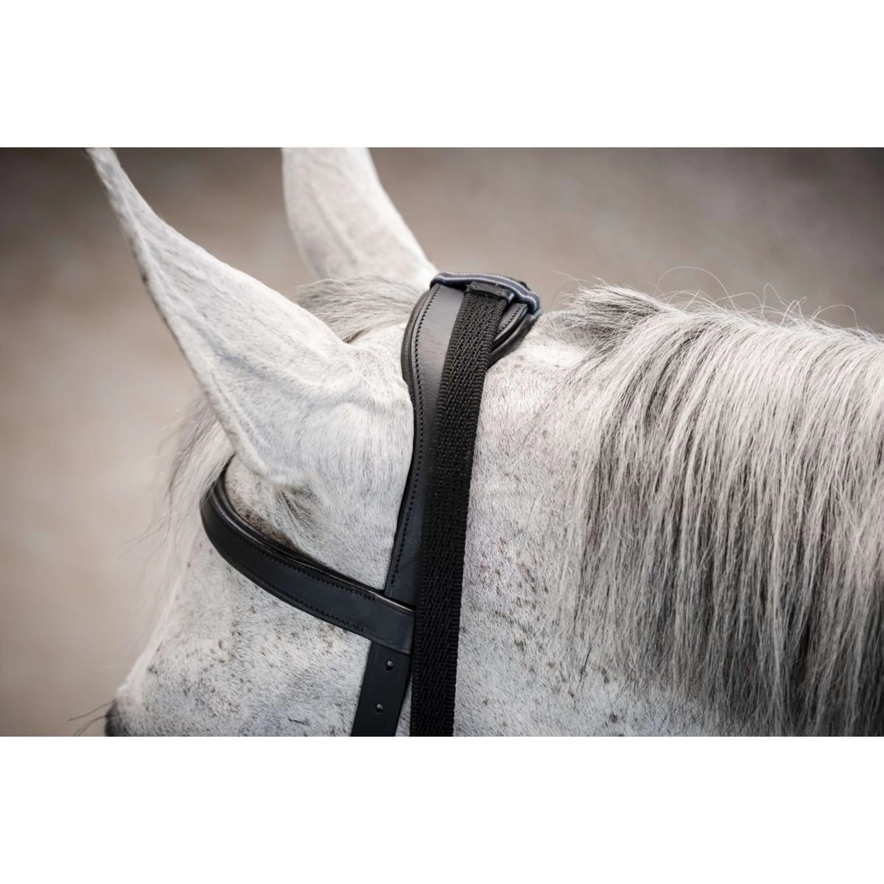 Horseware Micklem Multi Bridle Noir - Image 23