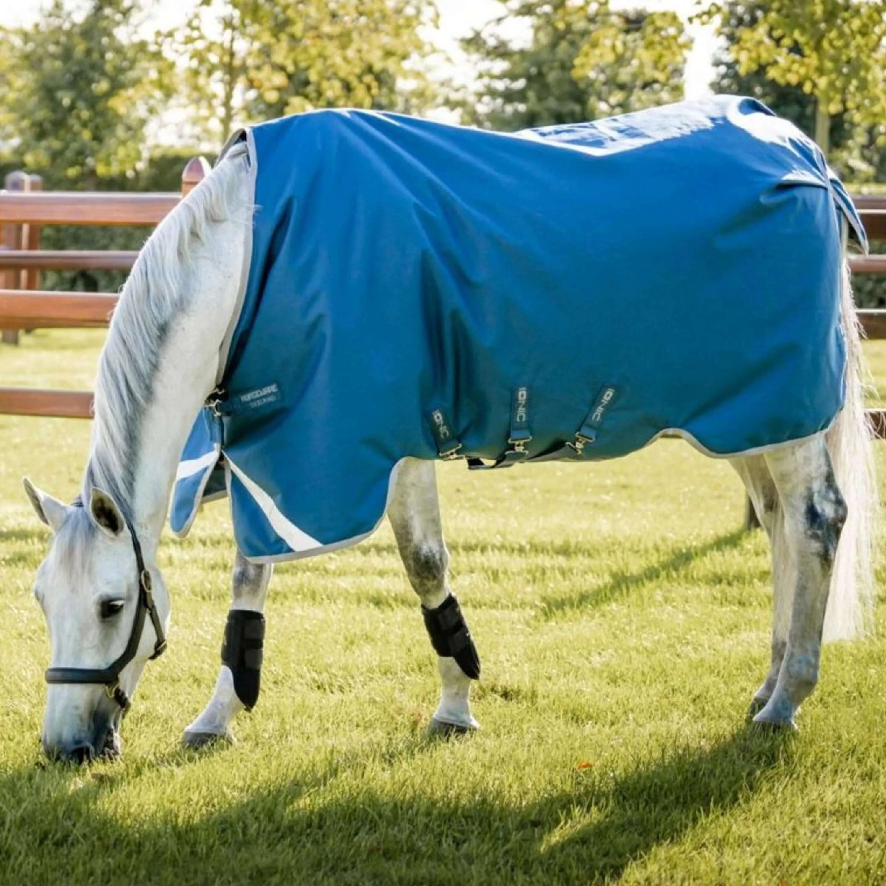 Horseware Therapy Turnout Ionic 100g Bleu Impérial/Argent/Marine - Image 3