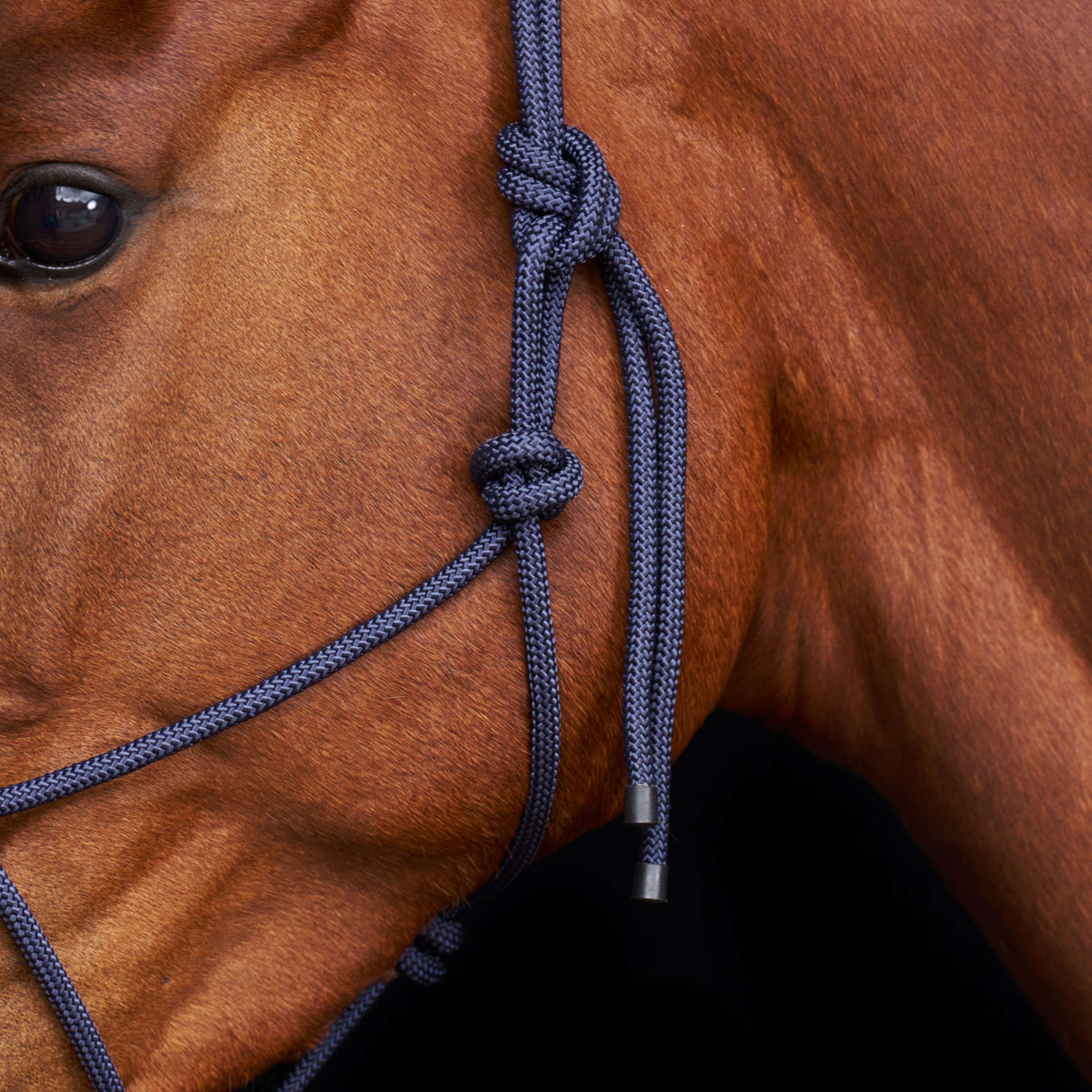 HV Polo Licol en Corde HVPLamu Marin - Image 3