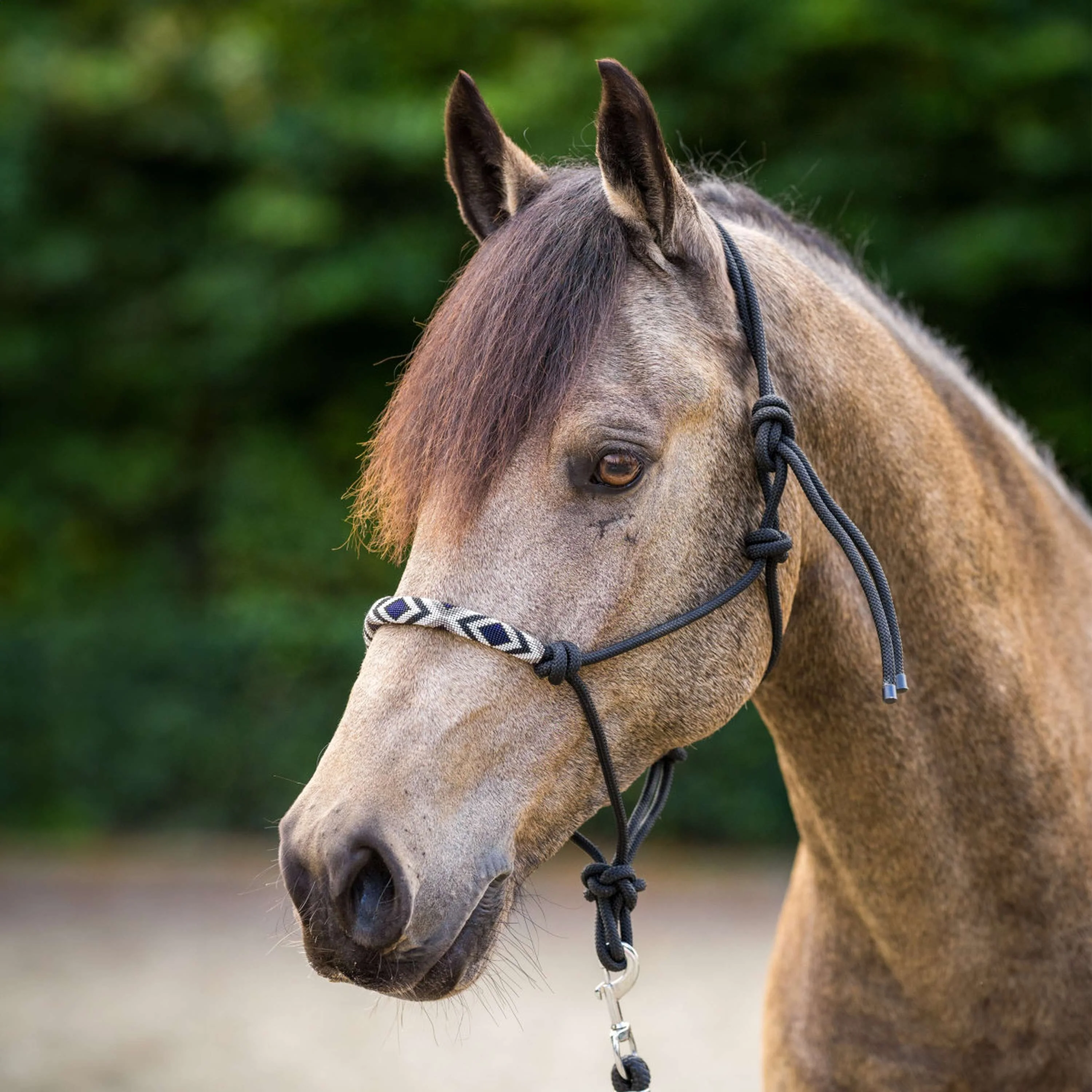 HV Polo Licol en Corde HVPLamu Noir - Image 2