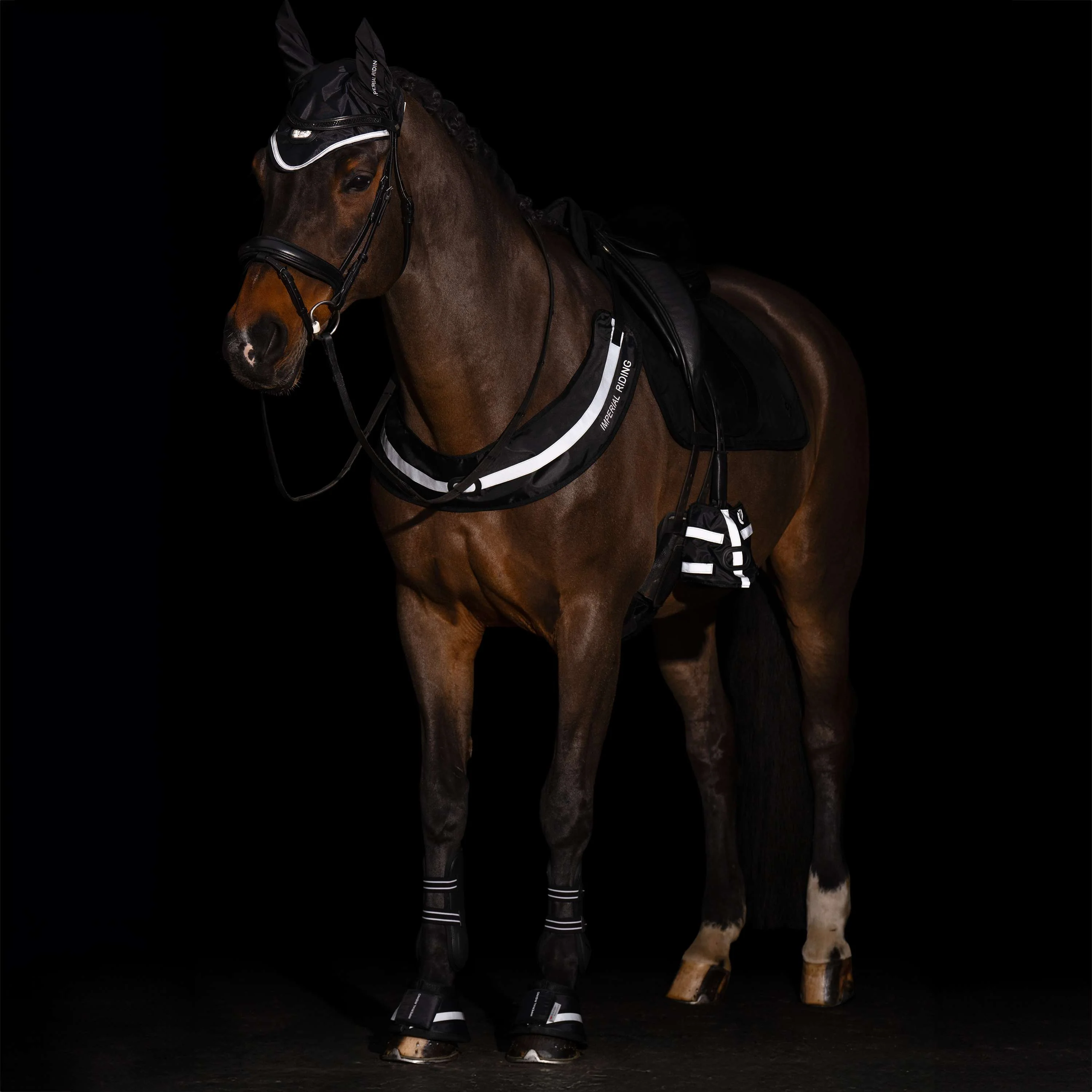 Imperial Riding Collier de Chasse IRHLuminous Noir - Image 3