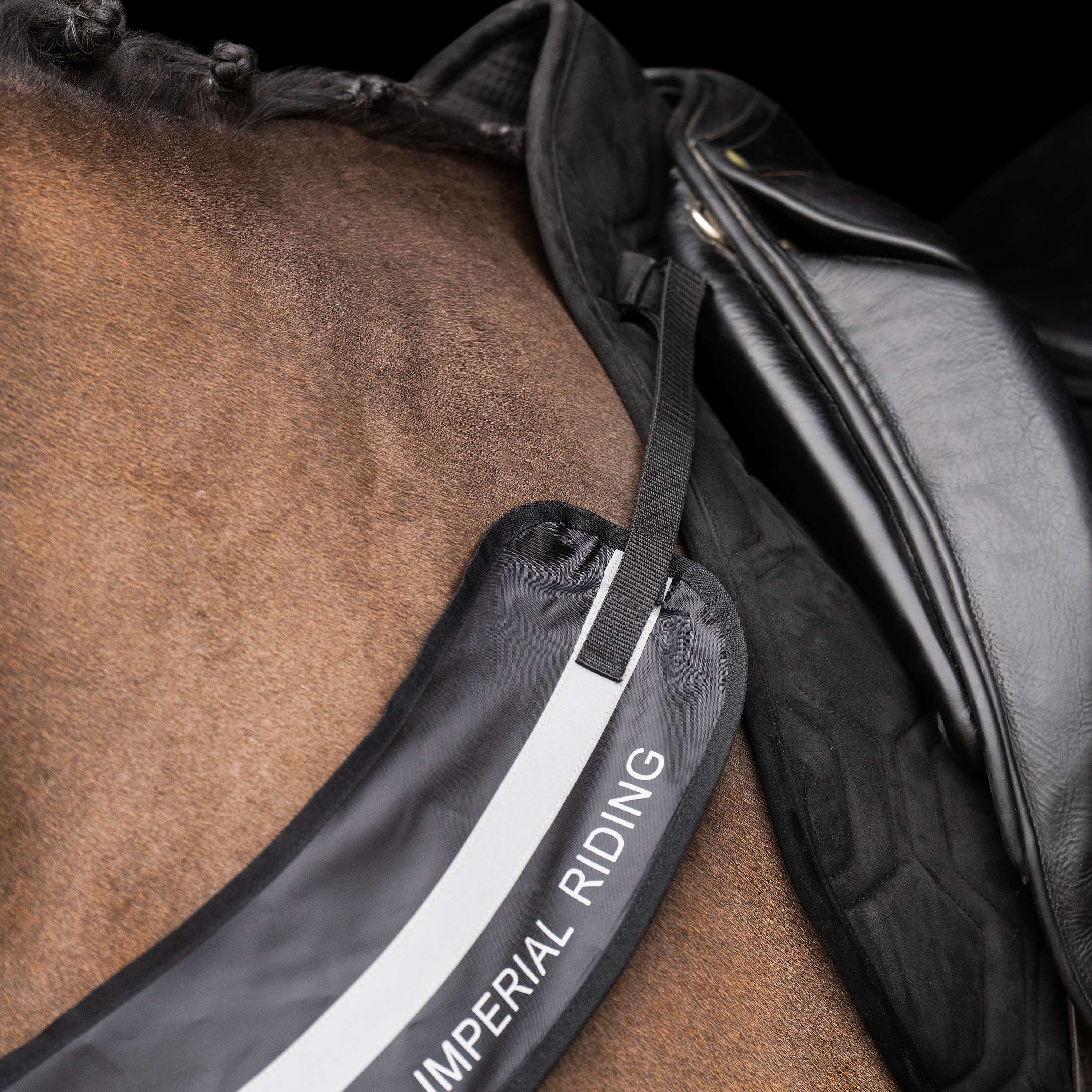 Imperial Riding Collier de Chasse IRHLuminous Noir - Image 5