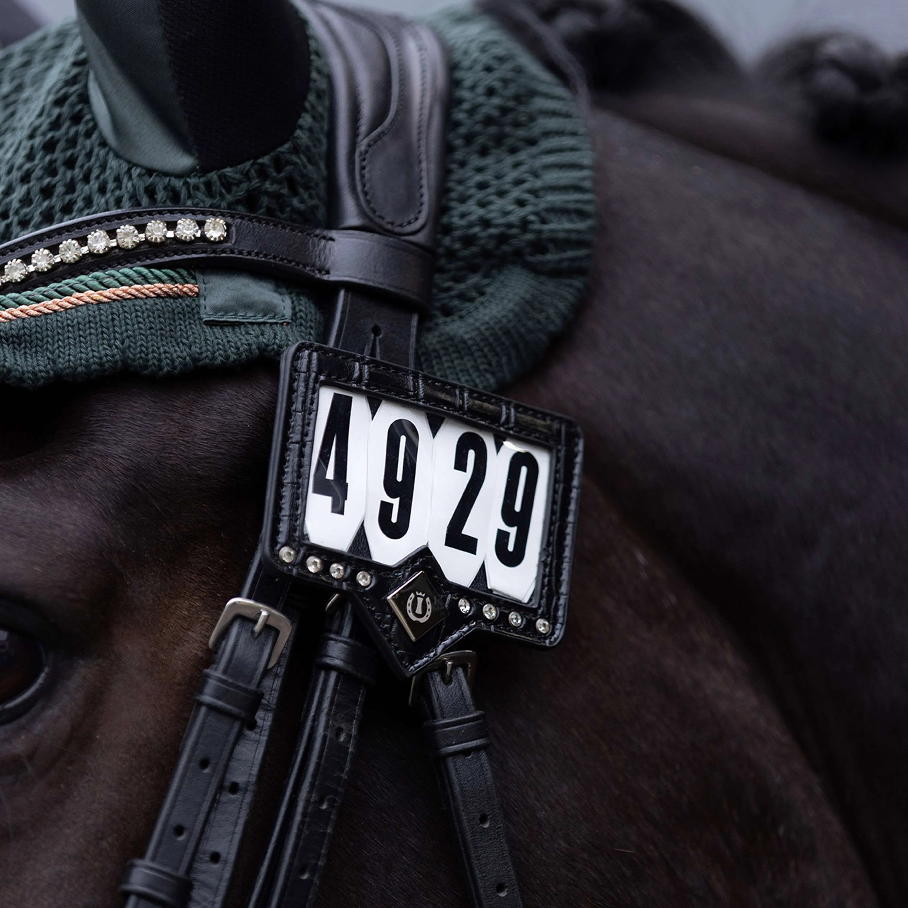 Imperial Riding Numéros de Concours IRHShow and Glow Black/Black Croco - Image 2
