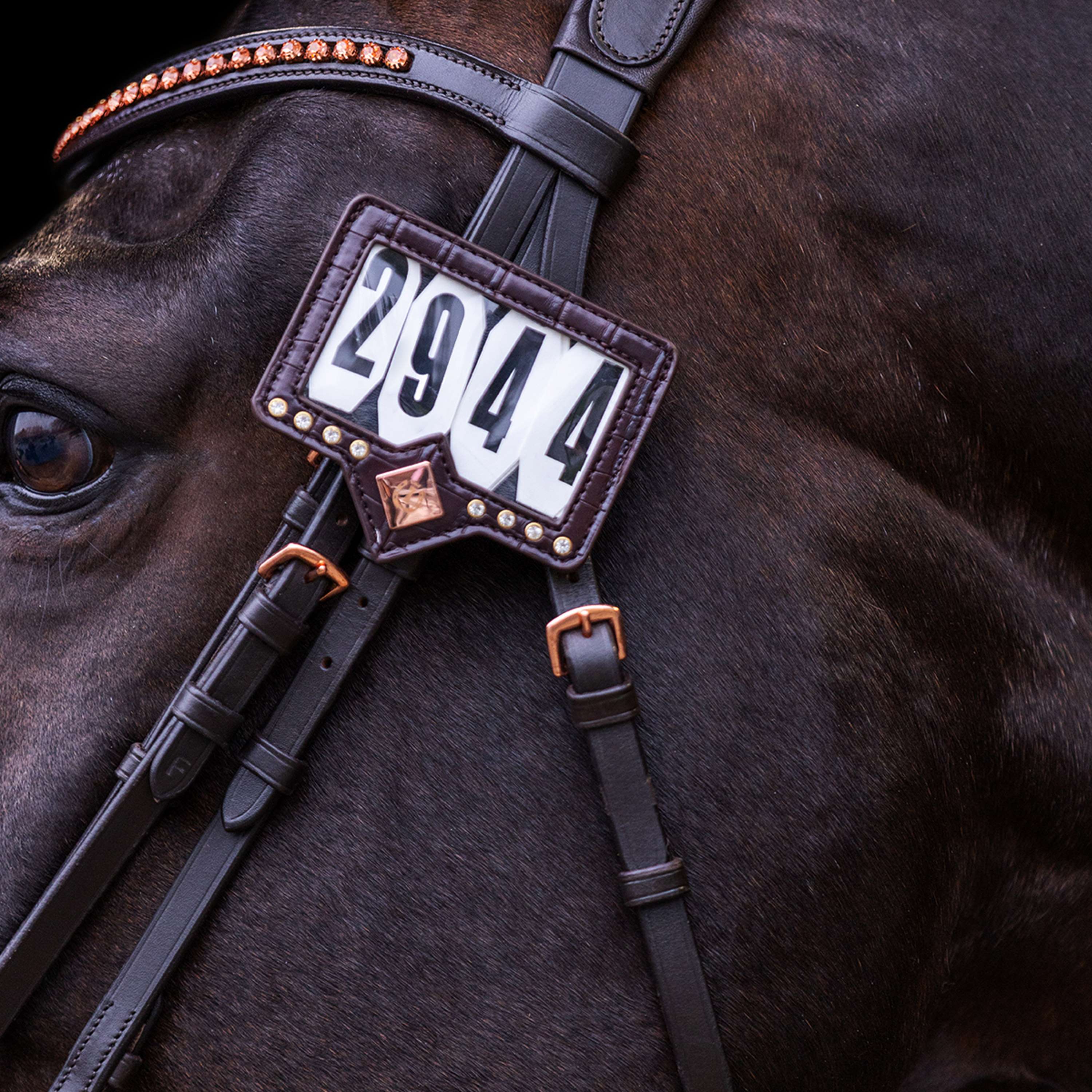 Imperial Riding Numéros de Concours IRHShow and Glow Brown/Brown Croco - Image 2