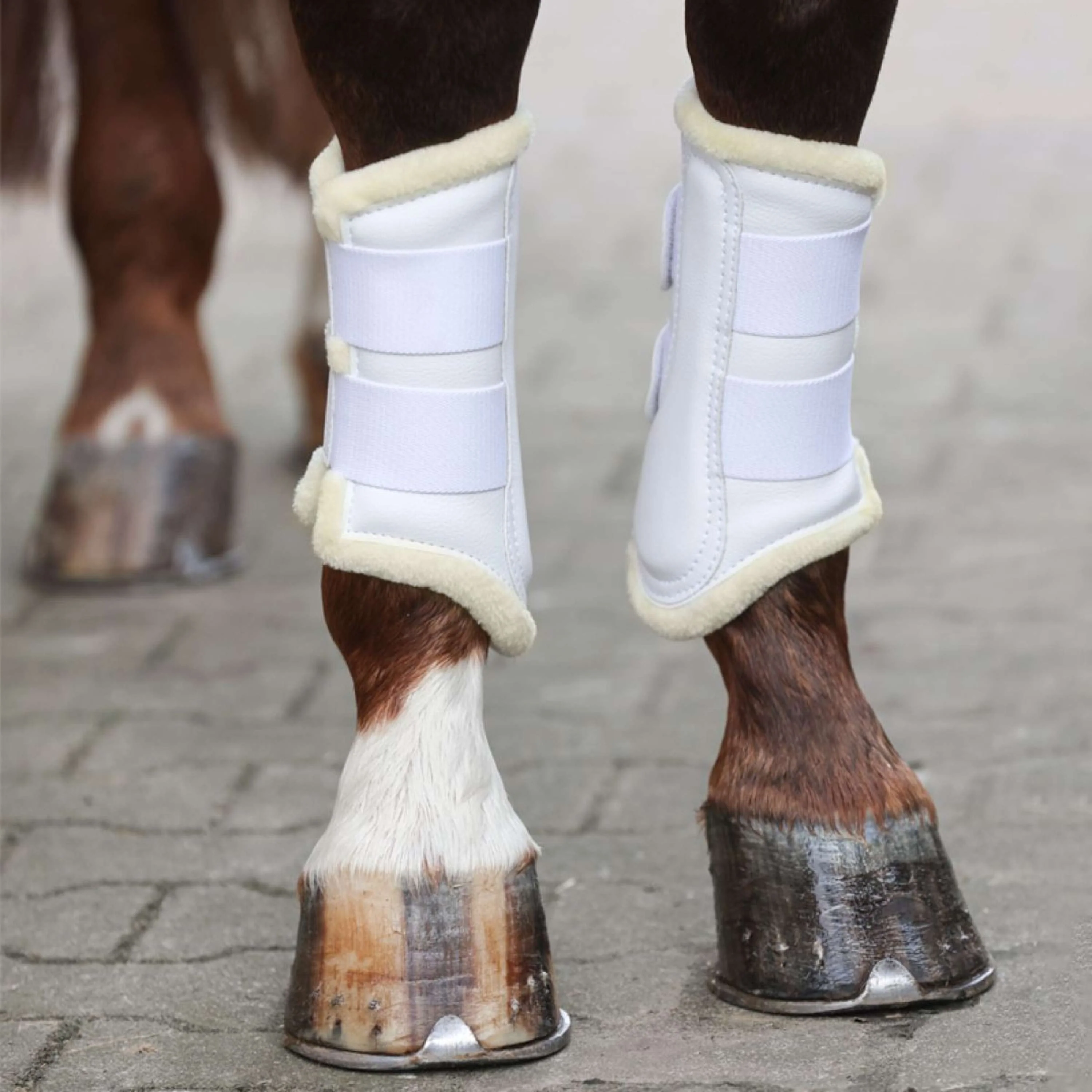 Kavalkade Dressage Boots avec Fausse Fourrure Blanc - Image 2
