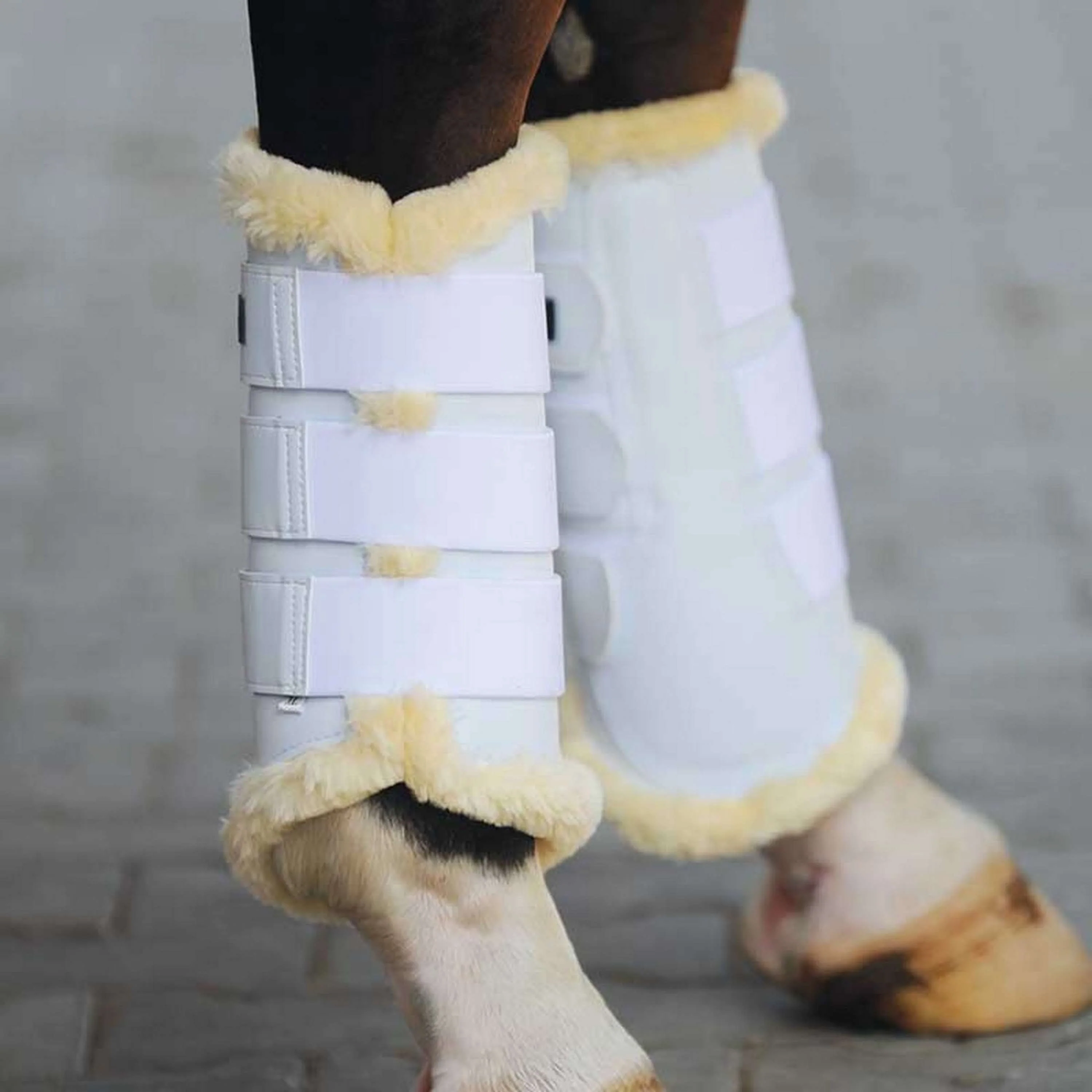 Kavalkade Dressage Boots Show Similicuir Noir - Image 2