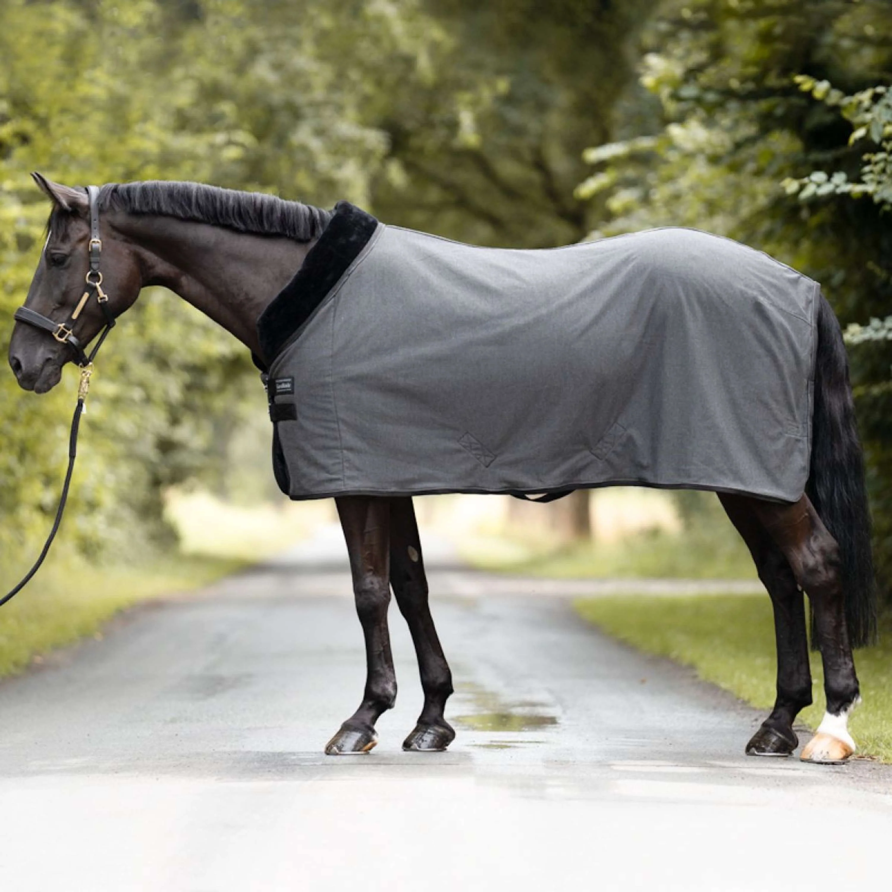 Kavalkade Chemise Rafraîchissante Elegance Noir/Gris